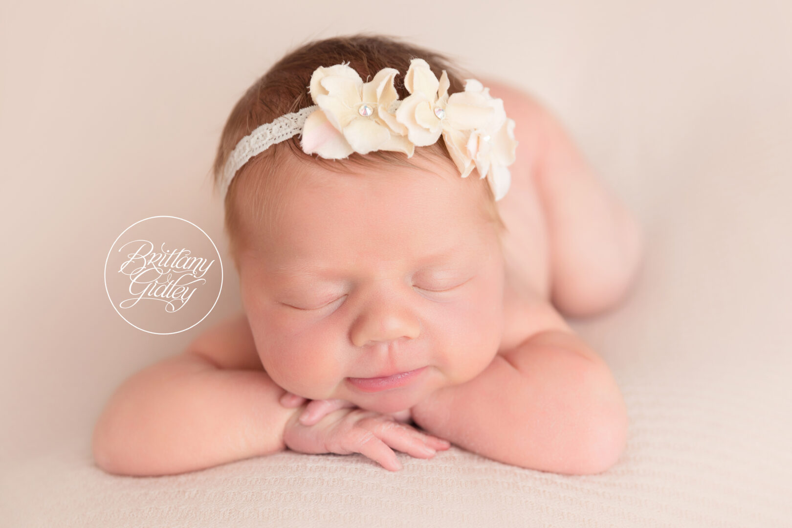 Newborn Photography Studio