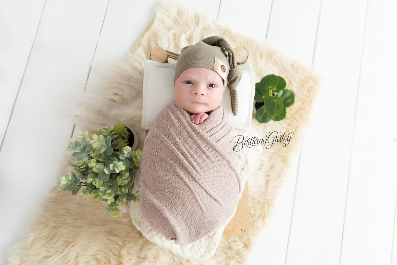 St. Patricks Day Newborn | Cleveland Baby Studio