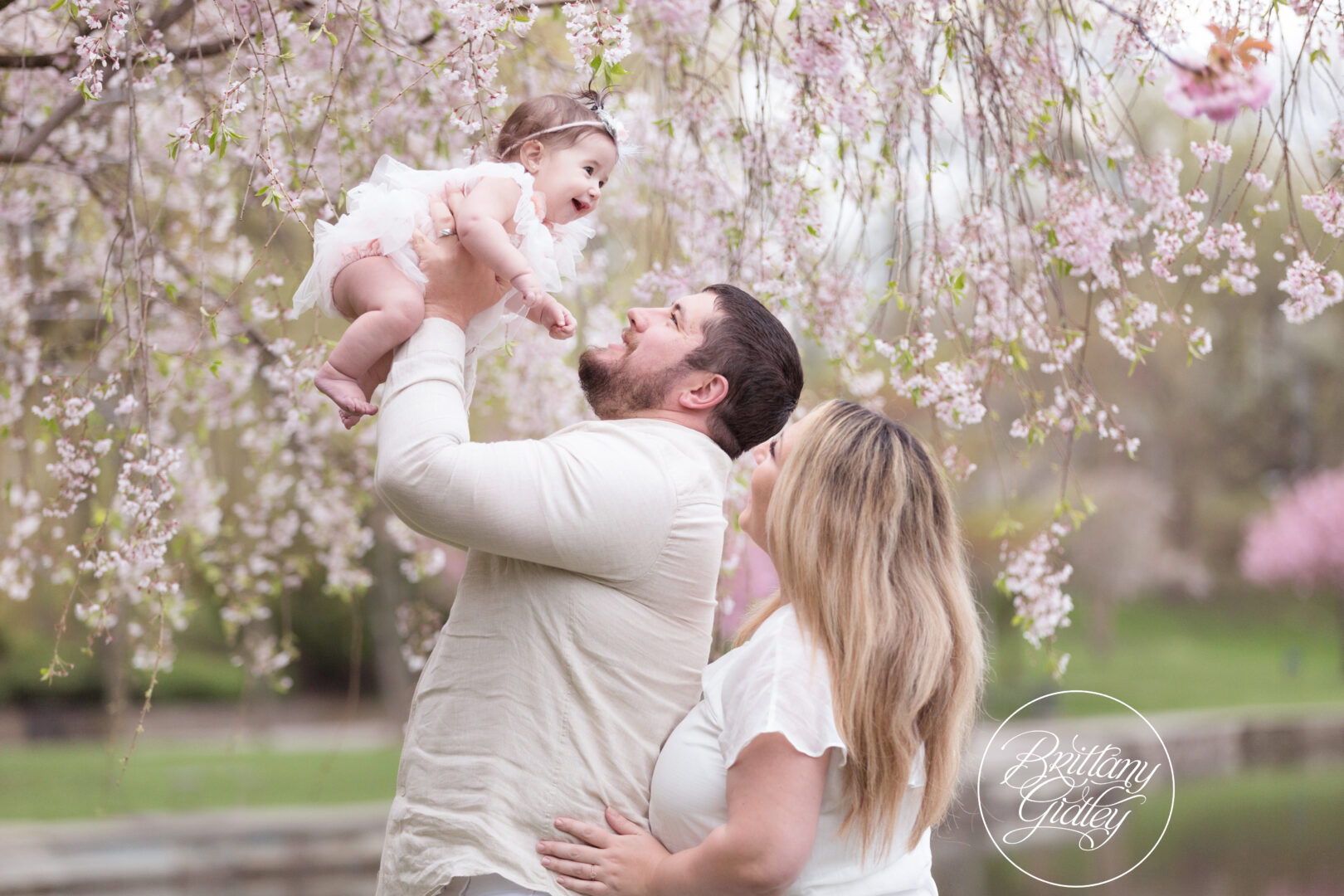 Best Cherry Blossom Cleveland