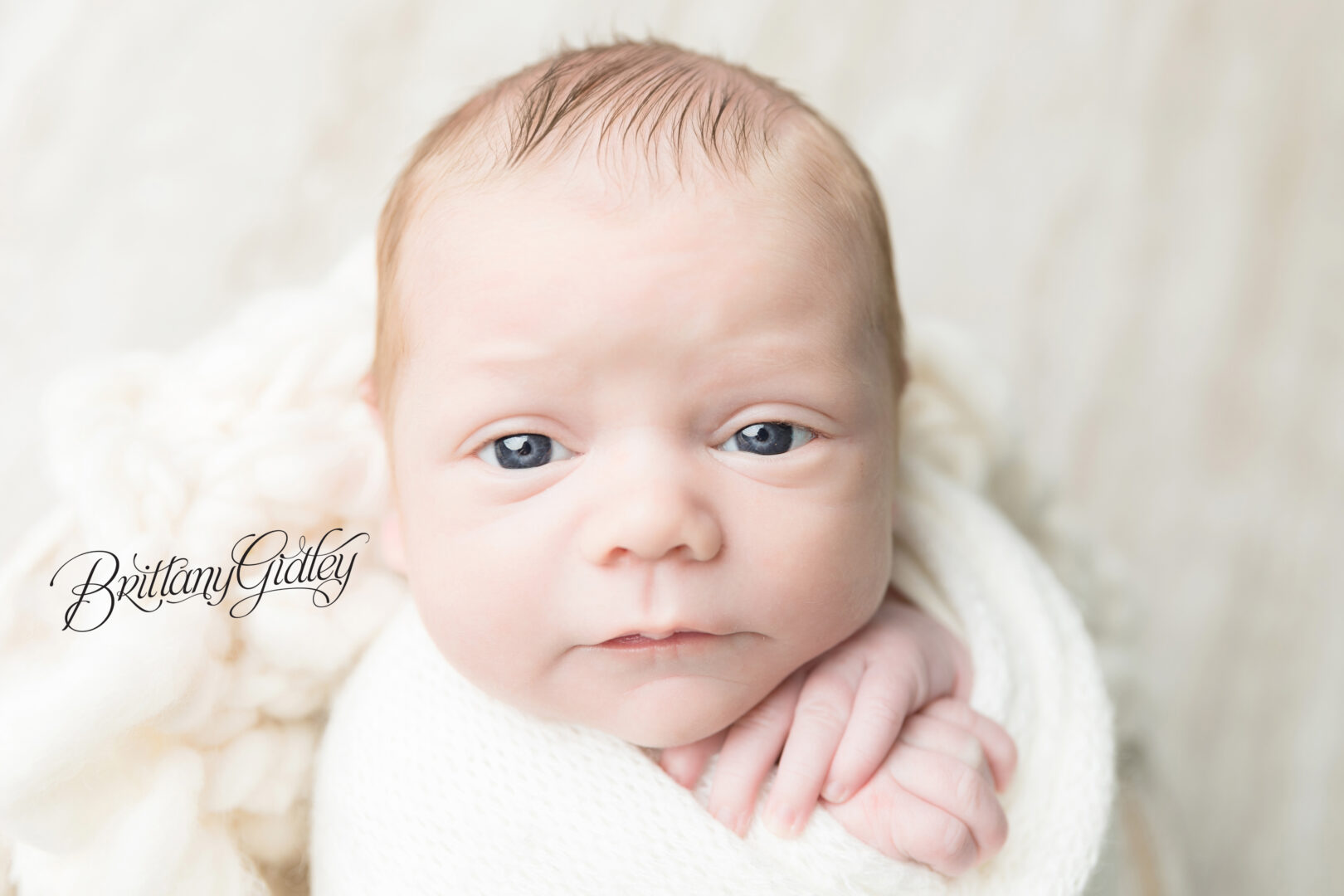 Cleveland Browns Newborn Photography