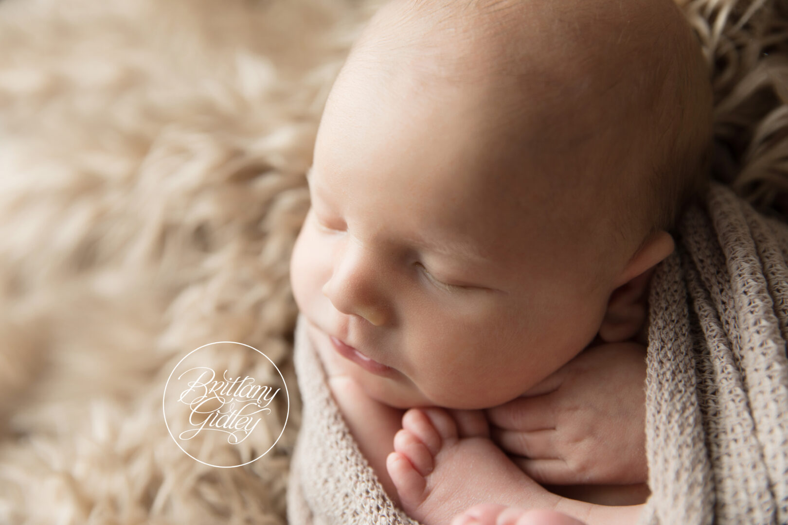 Newborn Photography LA