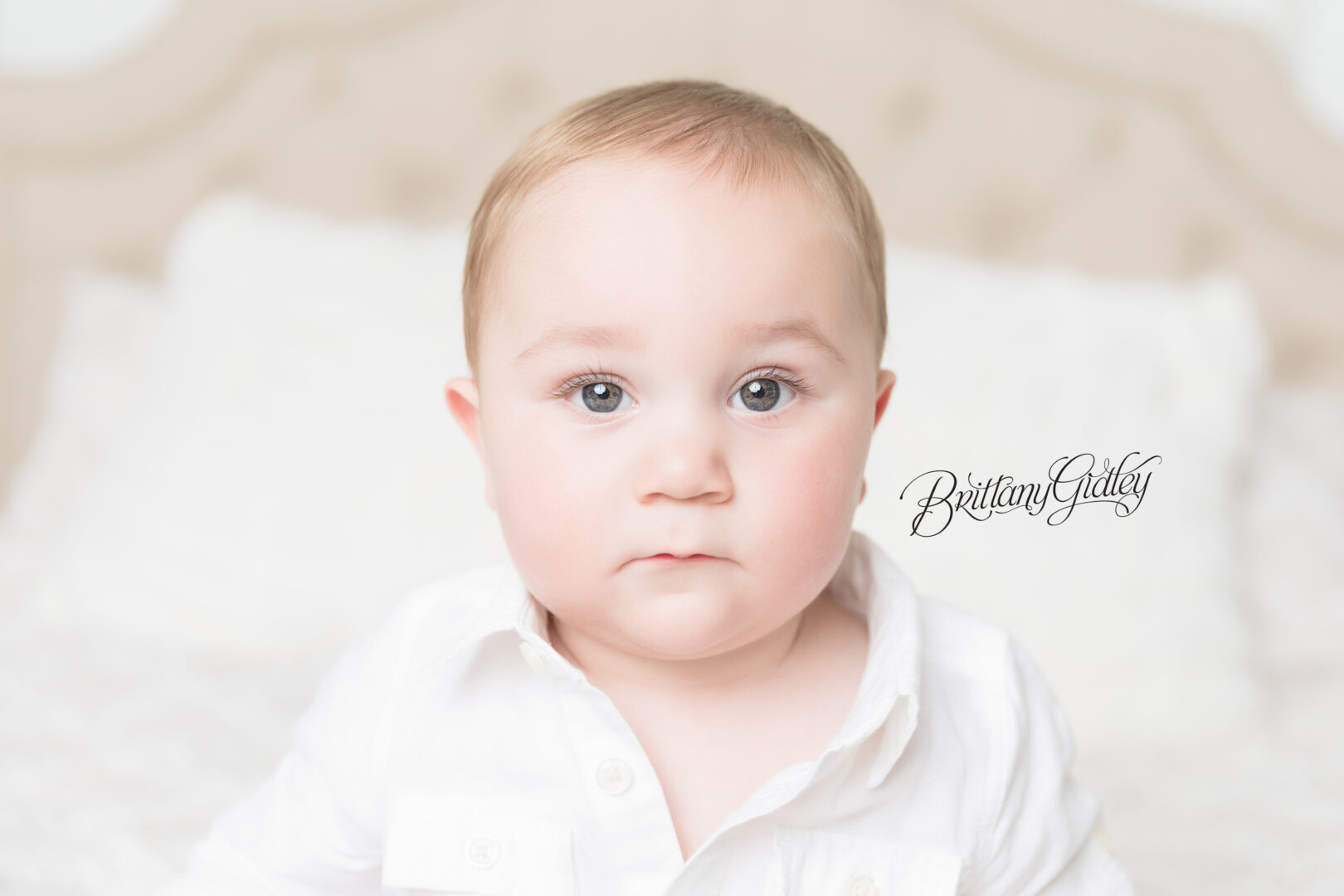 Ohio Baby Studio