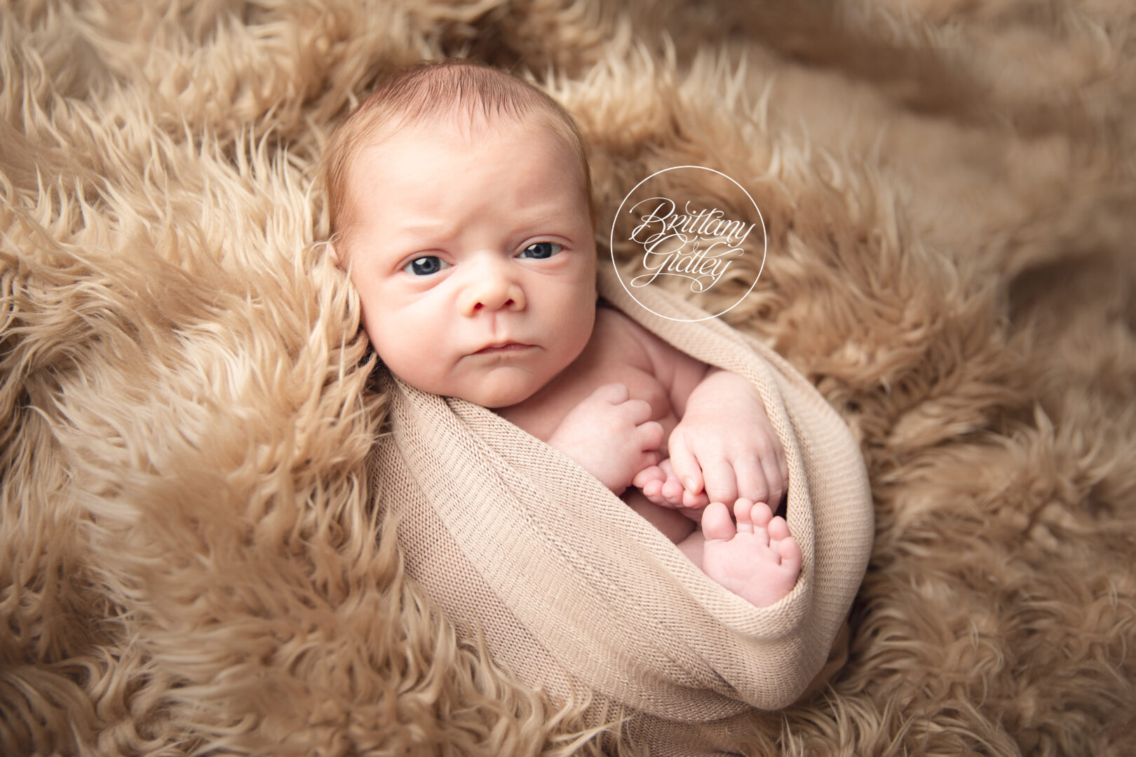Ohio Newborn Photo Shoot
