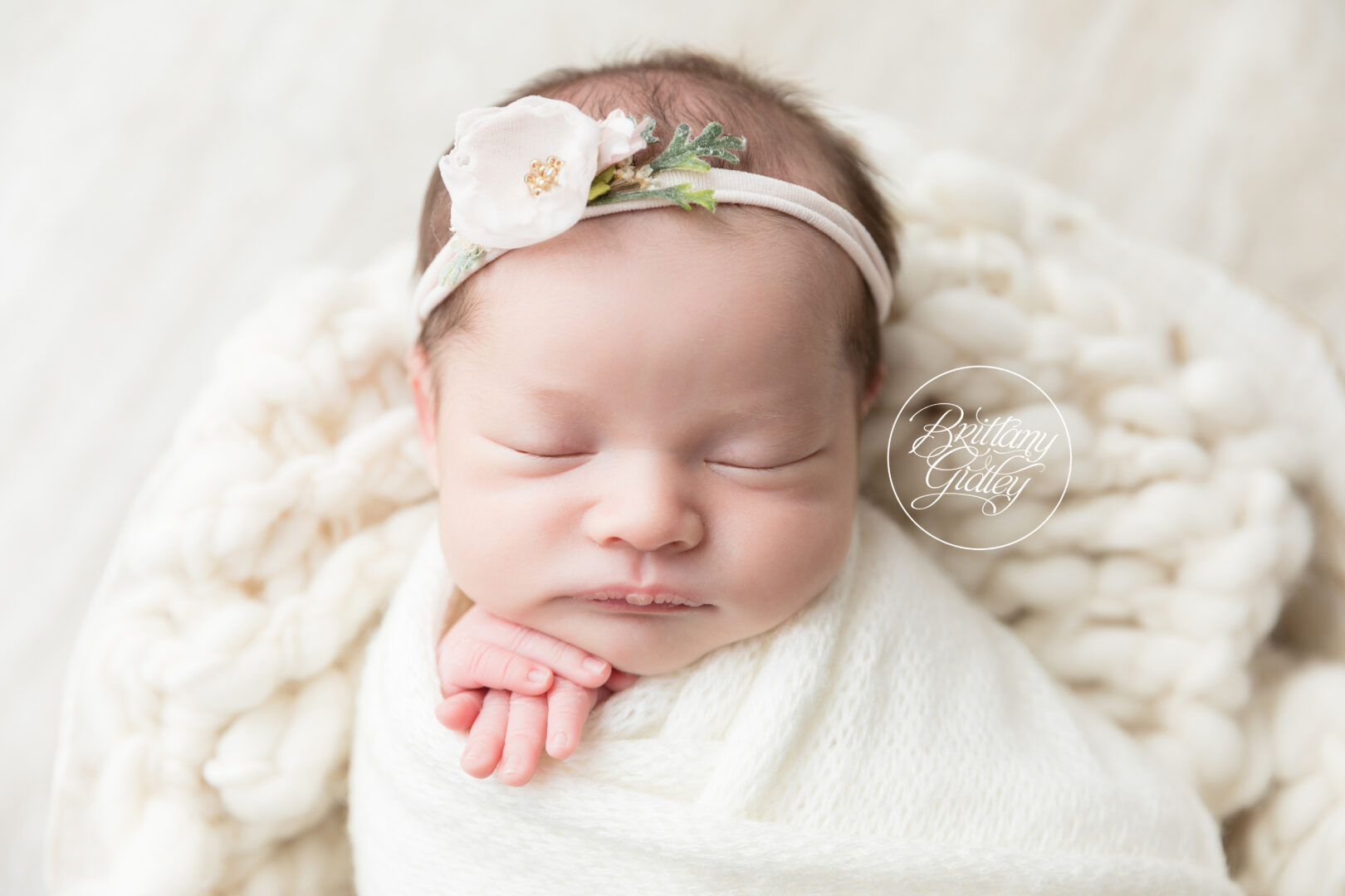 Westlake Ohio Newborn Photography
