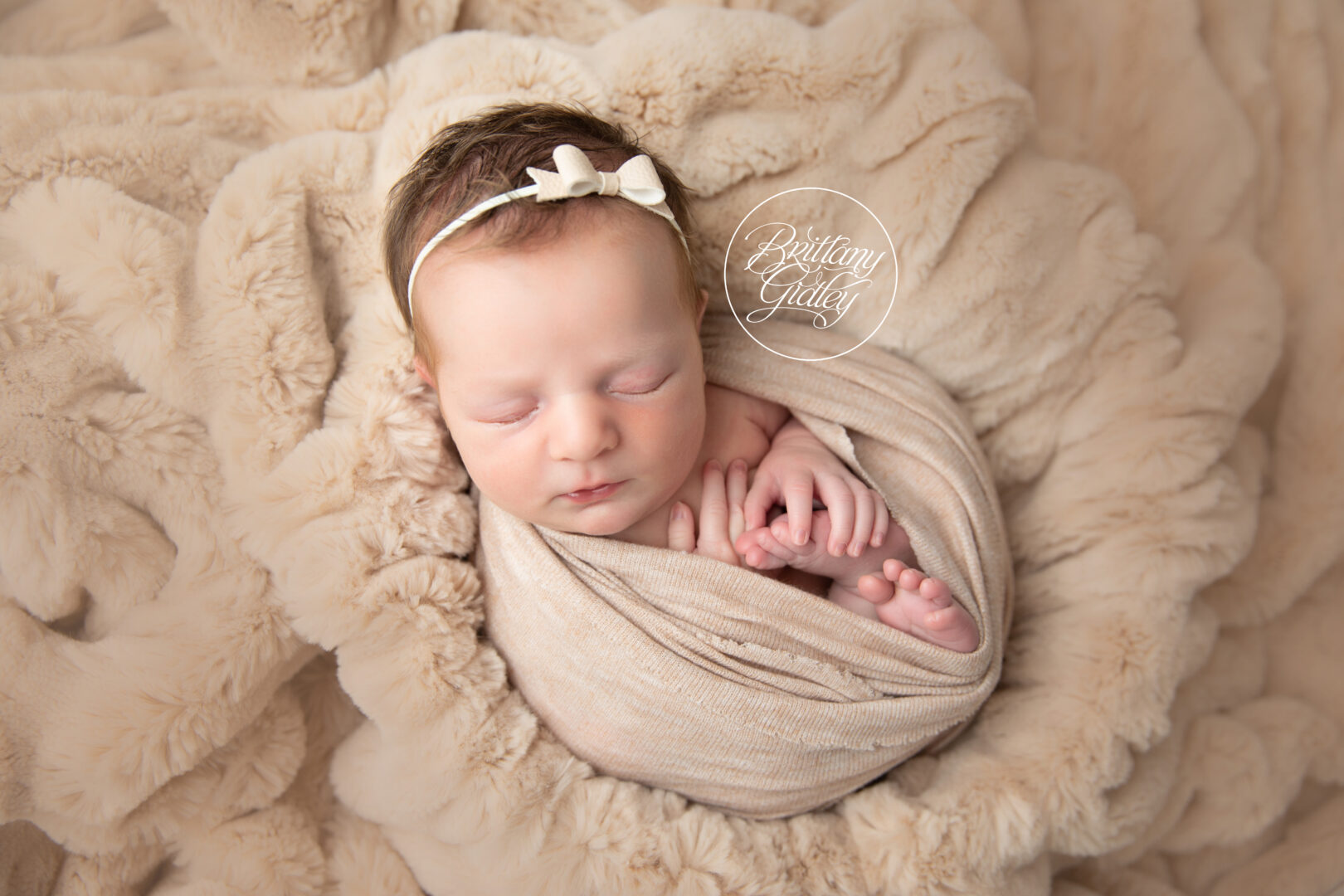 Avon Ohio Newborn Photographer