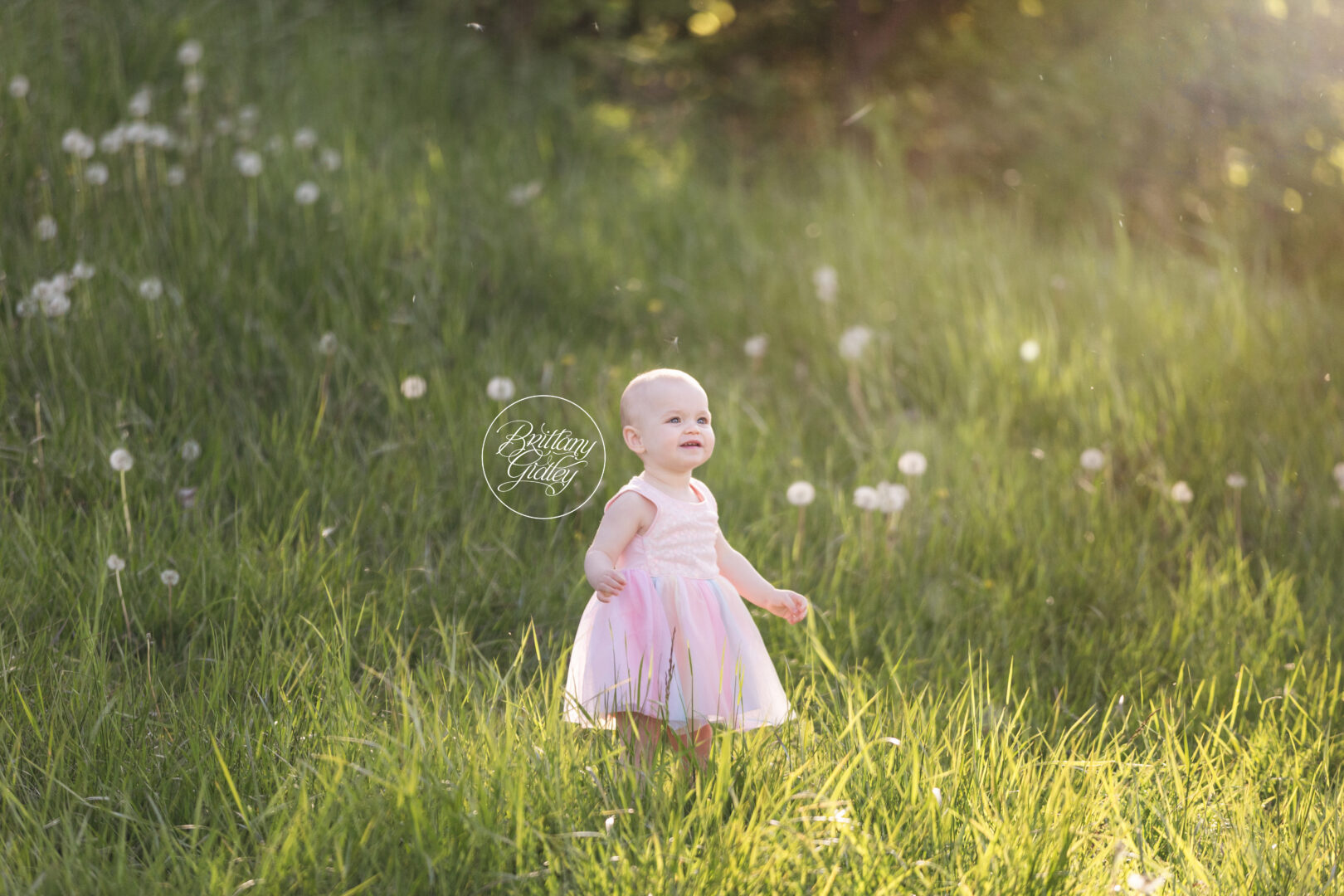 Baby Birthday Photographer