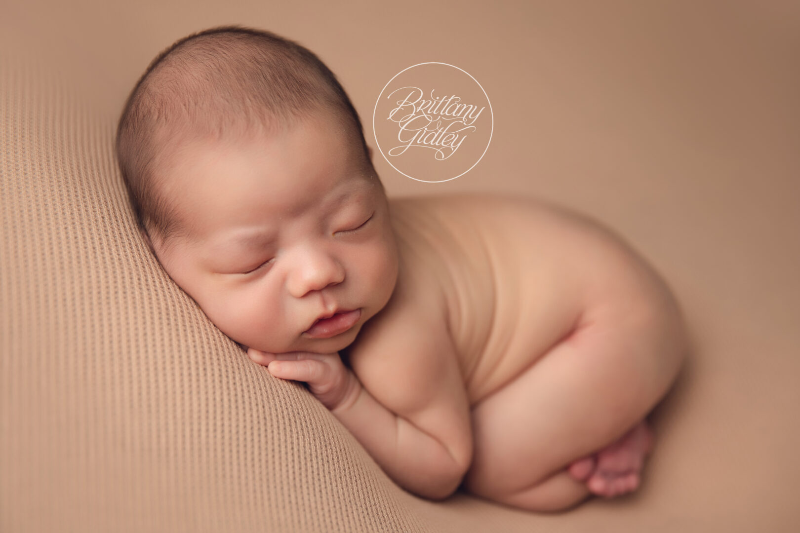 Beachwood Ohio Photographer