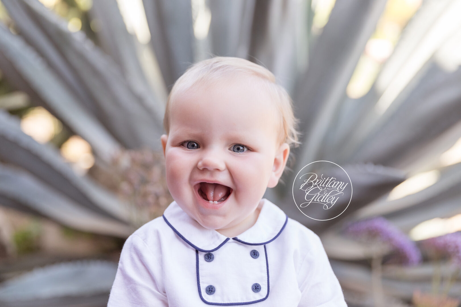 Los Angeles Baby Photography