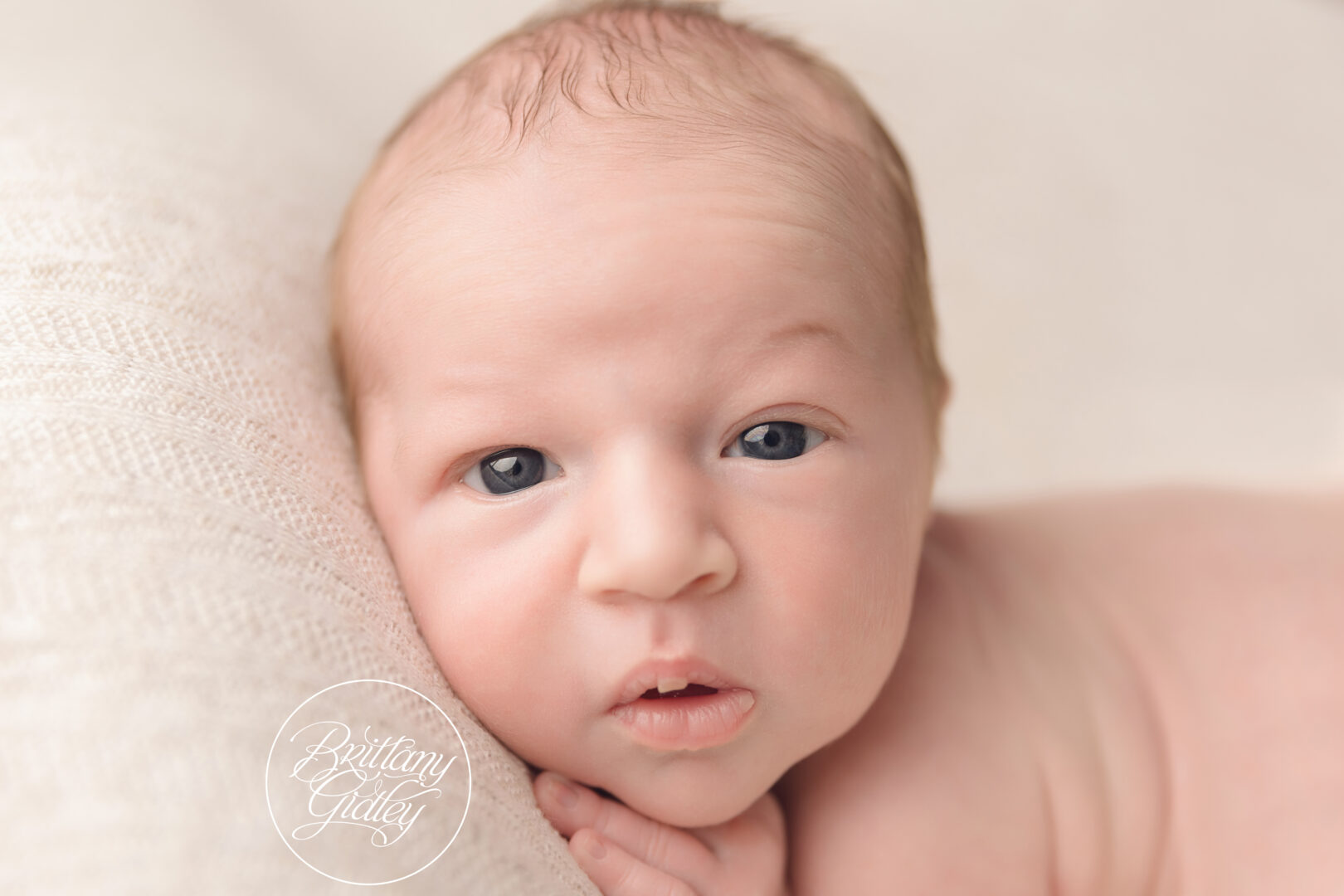 Strongsville Newborn Photography