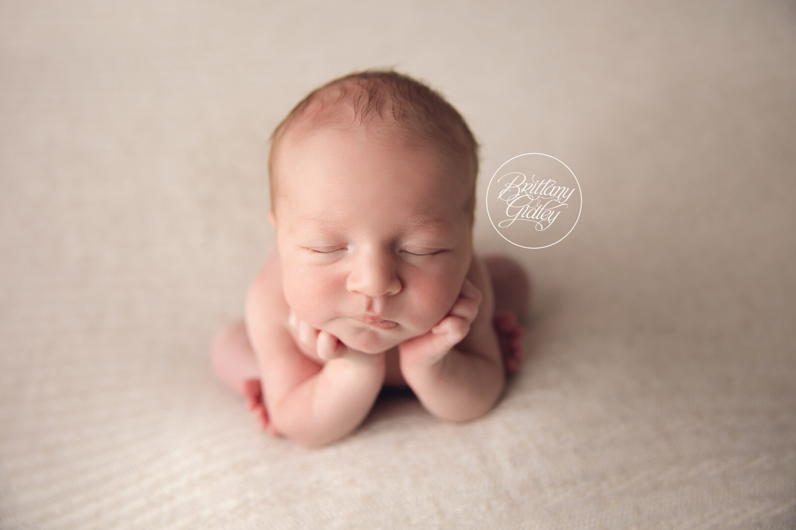 Strongsville Ohio Photographer