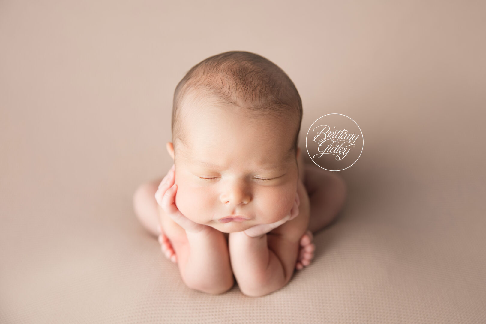 Newborn Photographers