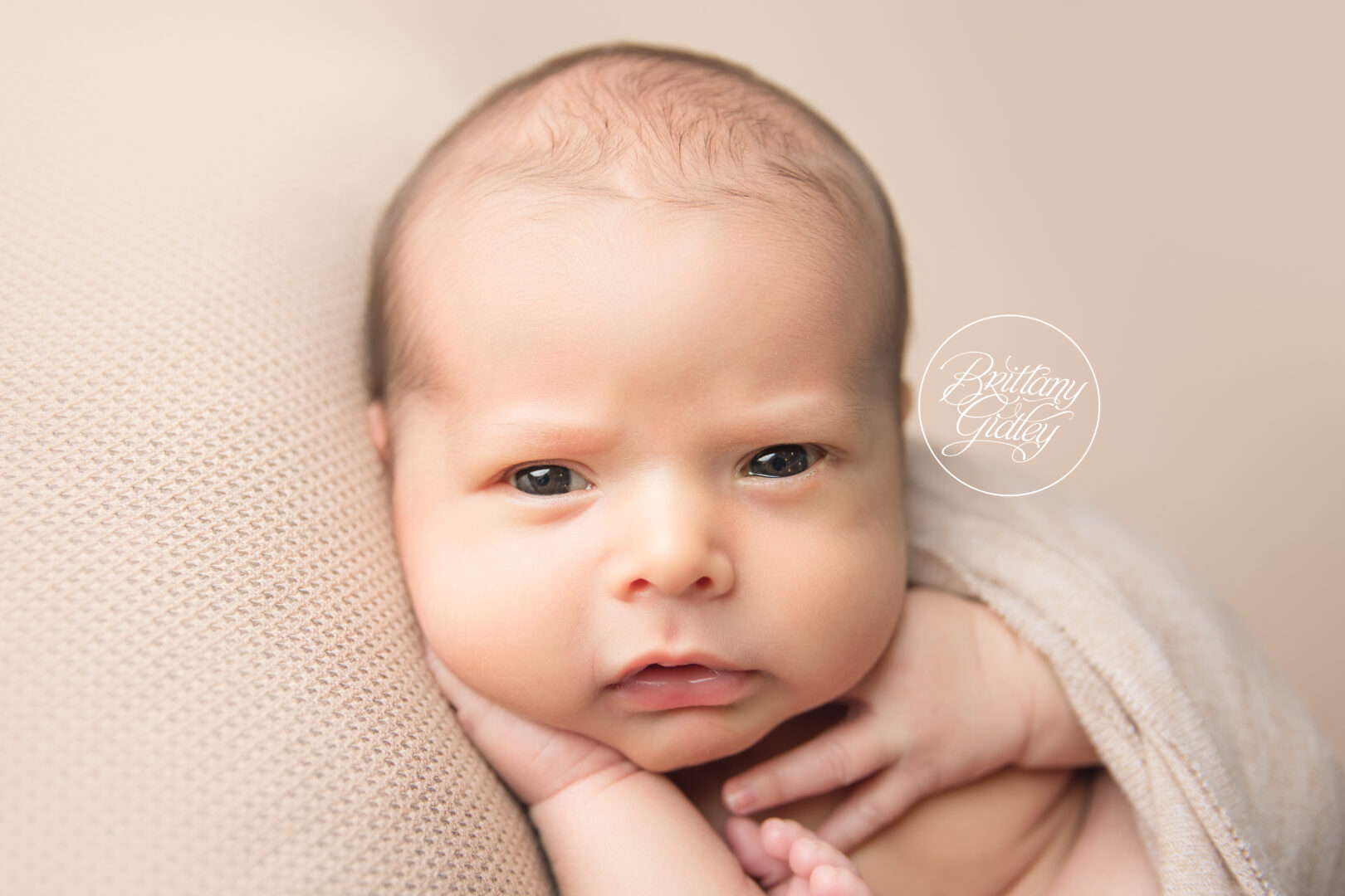 Westlake Ohio Newborn Photography At Home