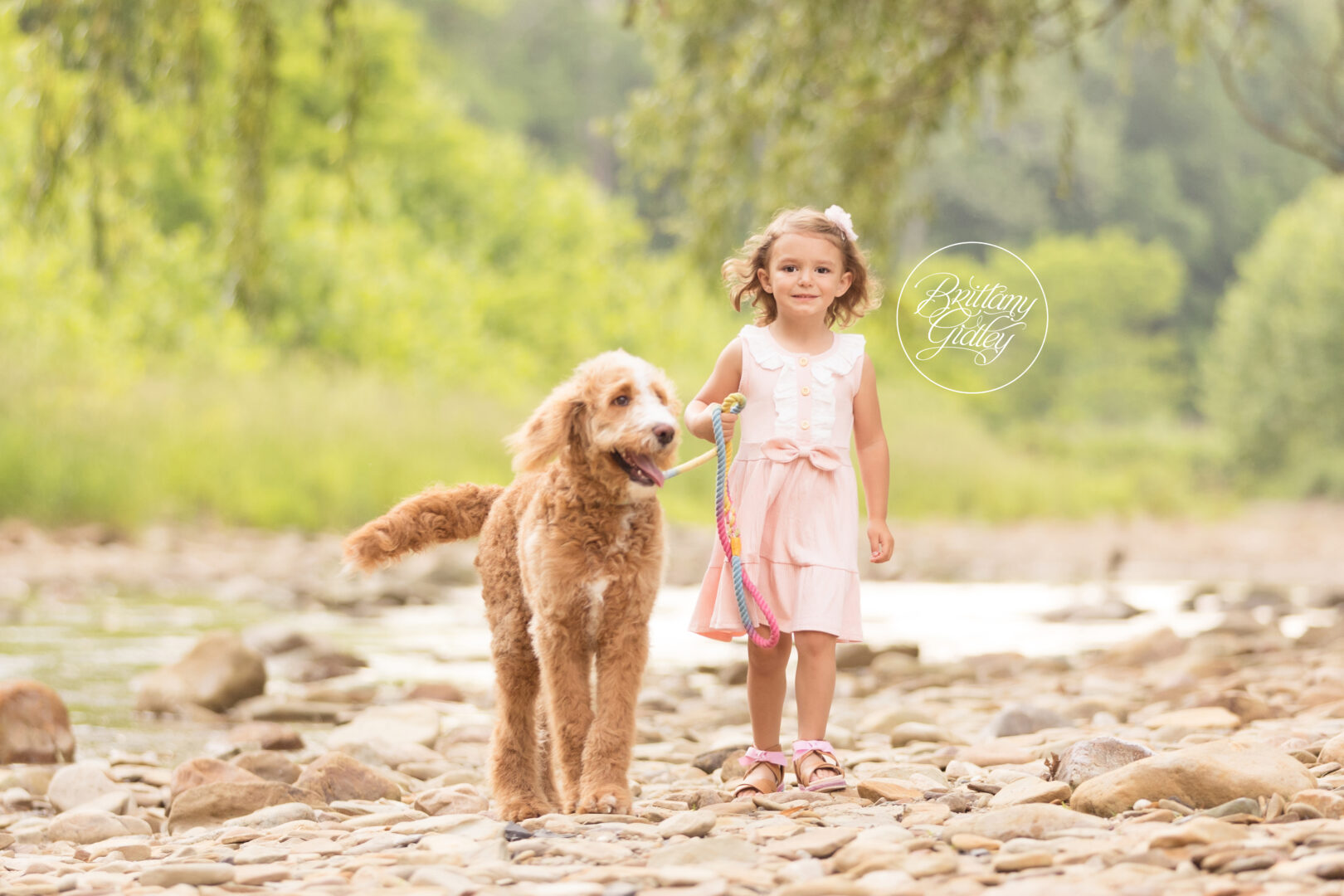 Toddler Photo Shoot