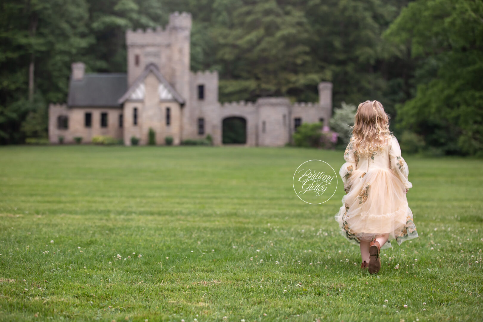 Toddler Photographer