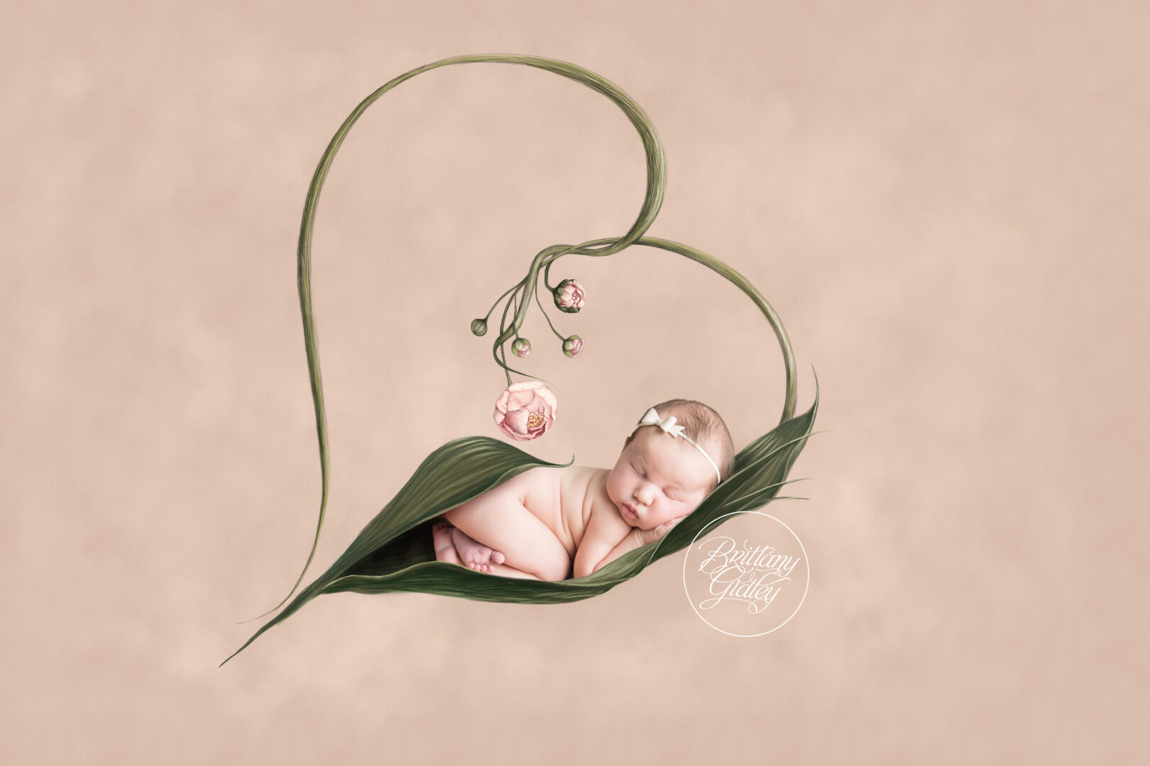 Cleveland Best Newborn Photographer