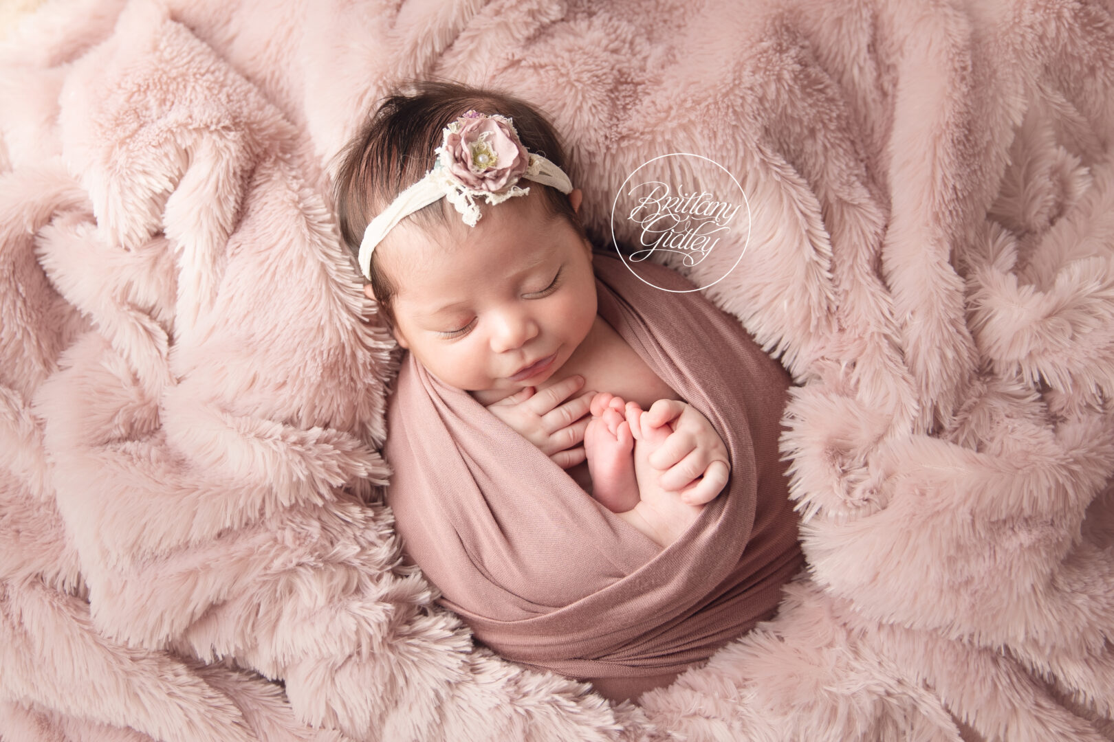 Cleveland Ohio Newborn Photography