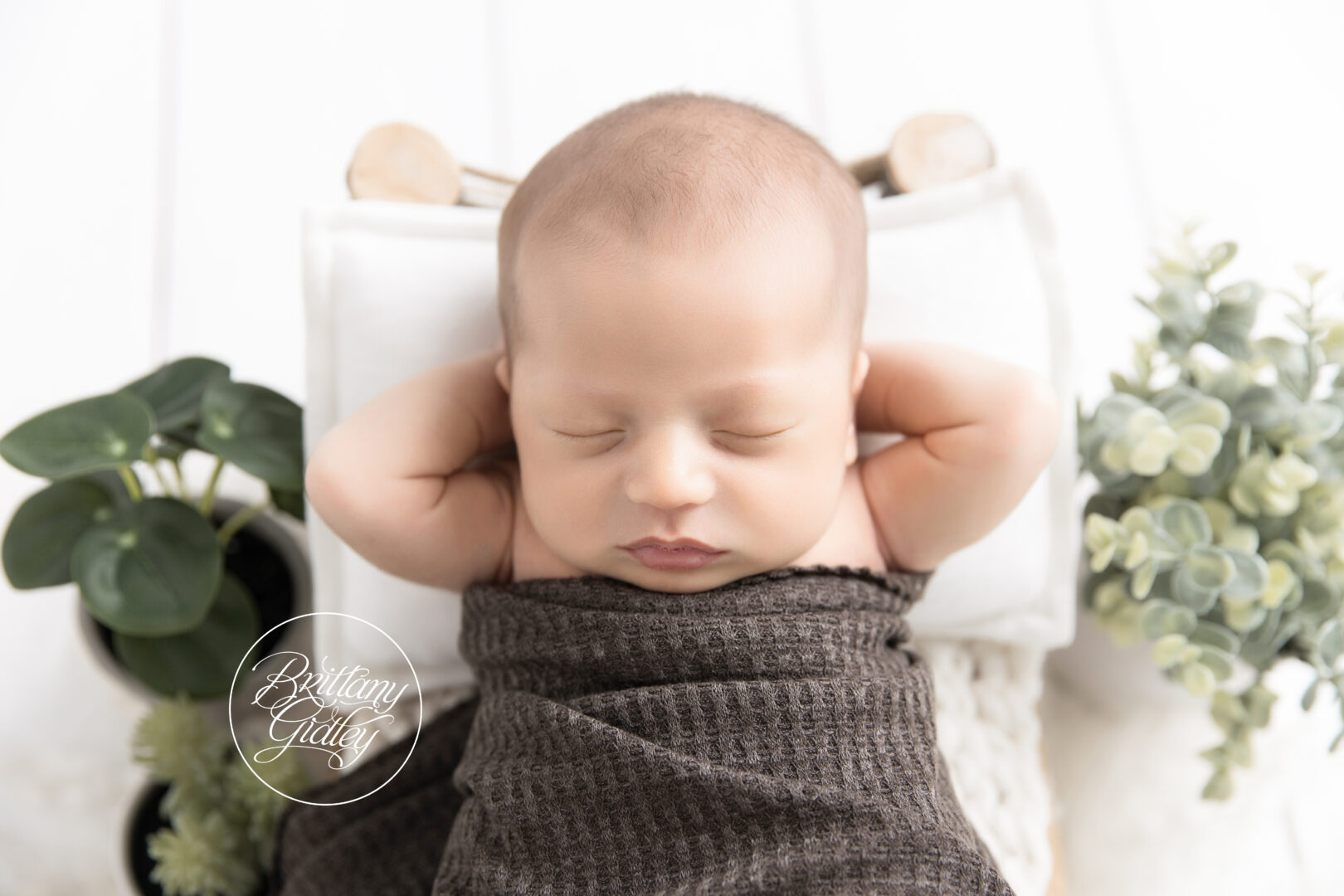 Newborn Baby Green Plants