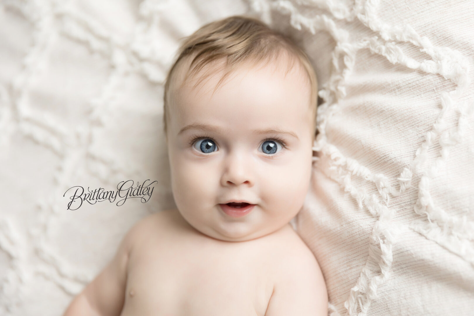 6 Month Baby Photos | Westlake Ohio Baby Photographer