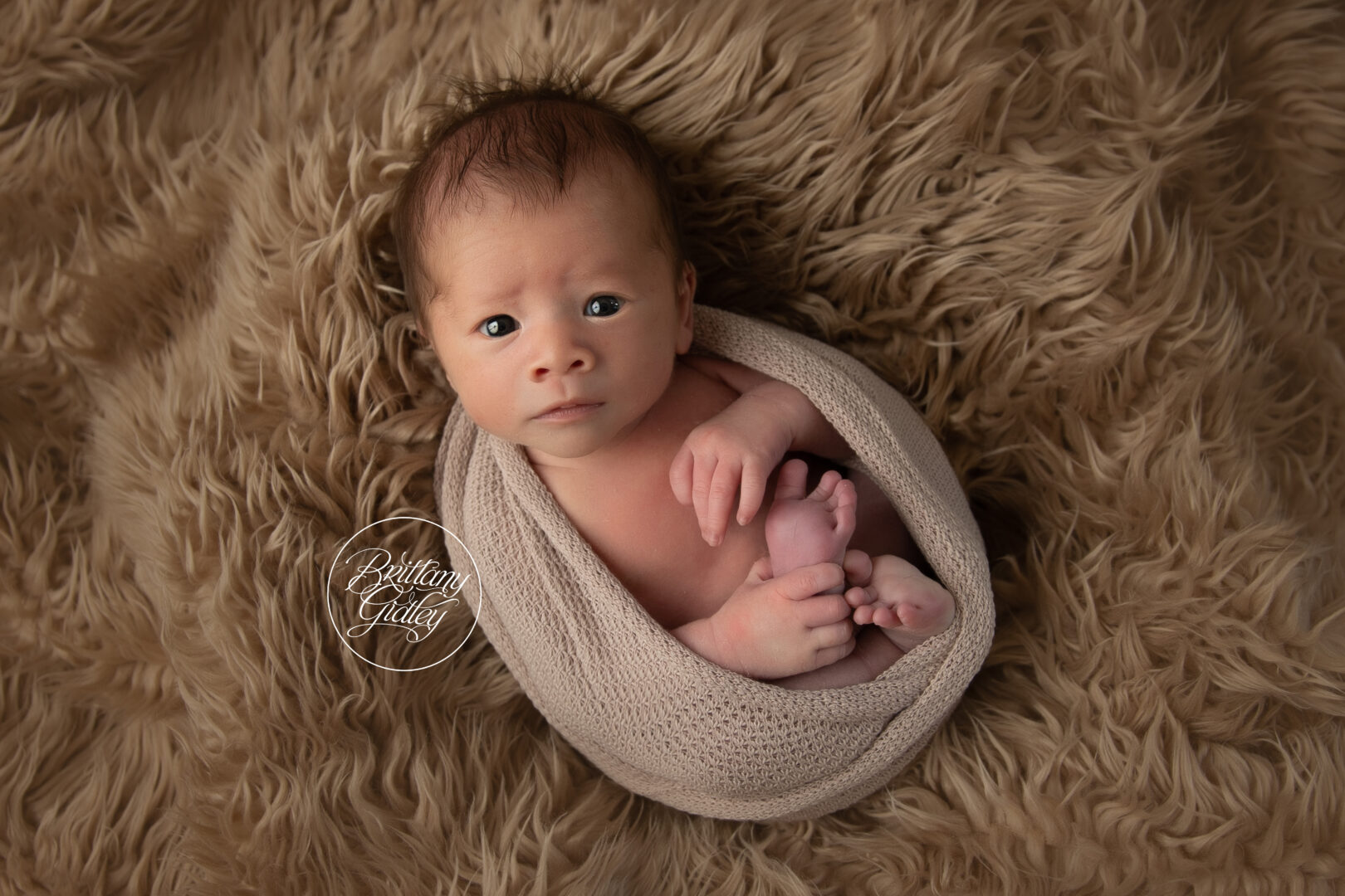Pepper Pike Newborn Photography