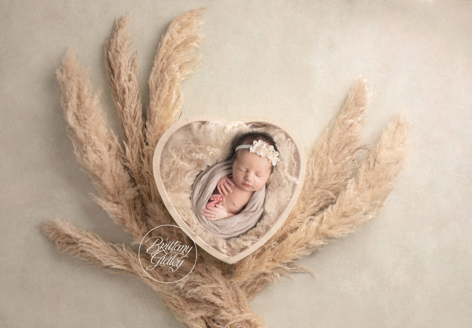 Avon Lake Newborn Baby Photo Shoot