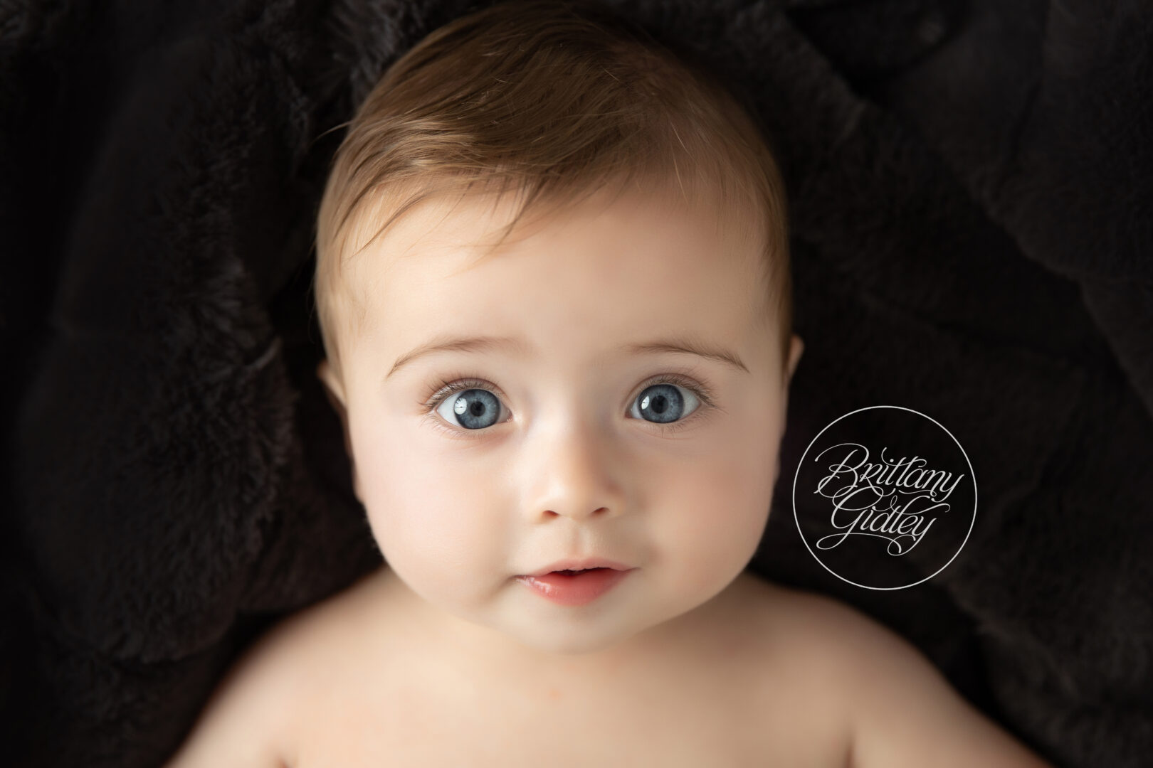 Baby Photography Studio | Westlake Ohio Baby Photographer