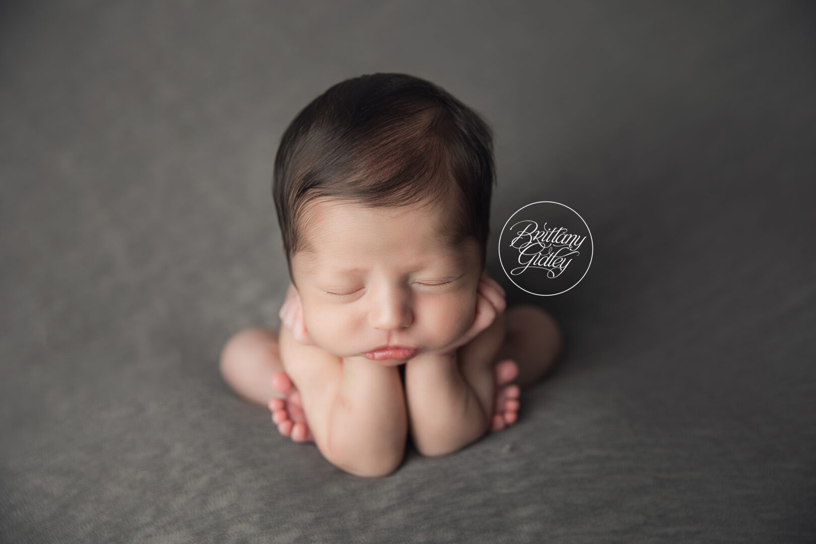 Baby Photos Cleveland