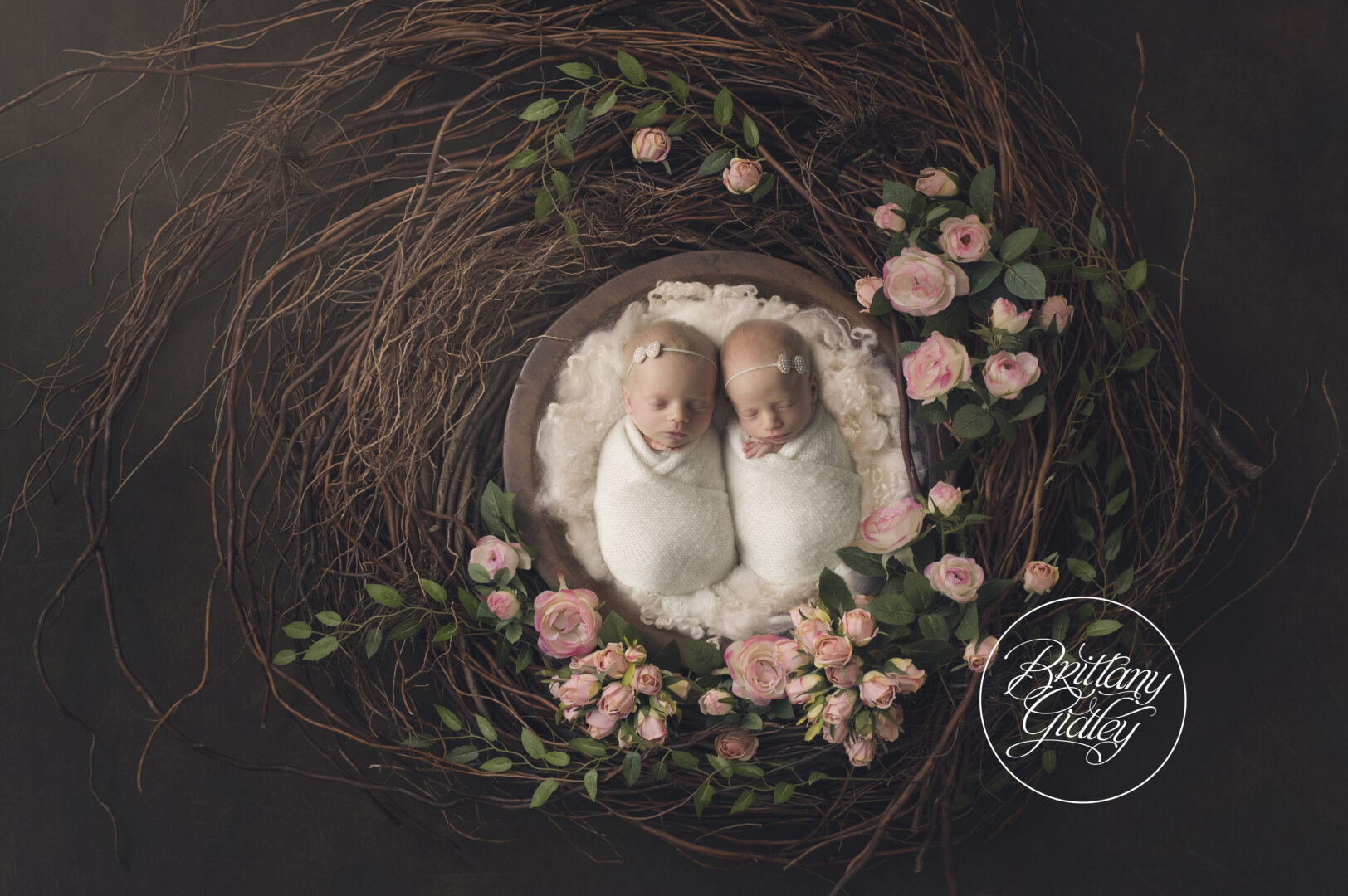 Best Twin Newborn Photography