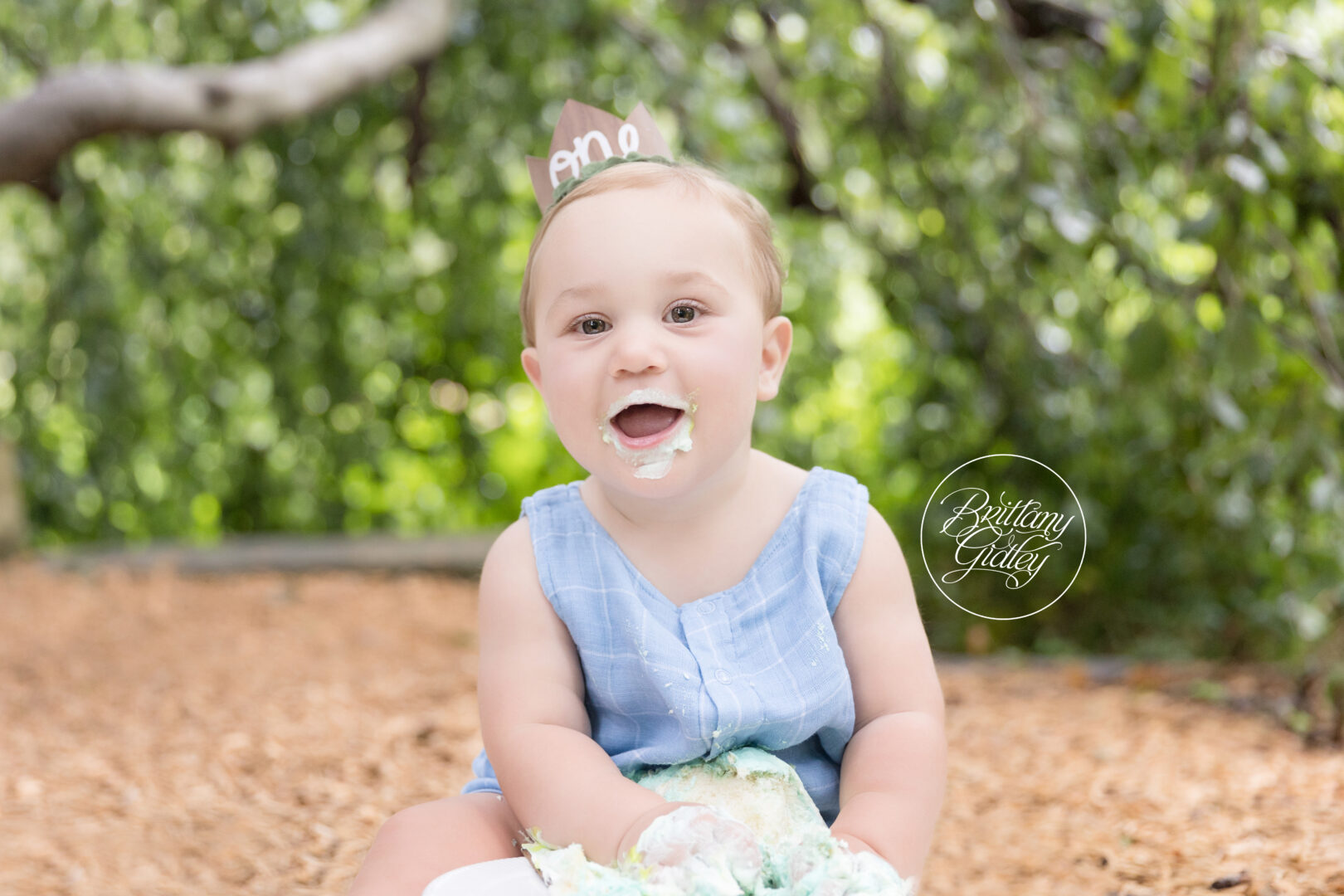 Cake Smash Photographer