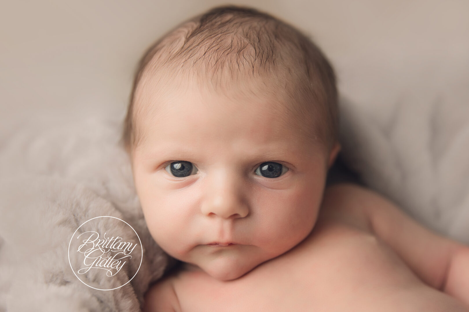 Cleveland Baby Photography