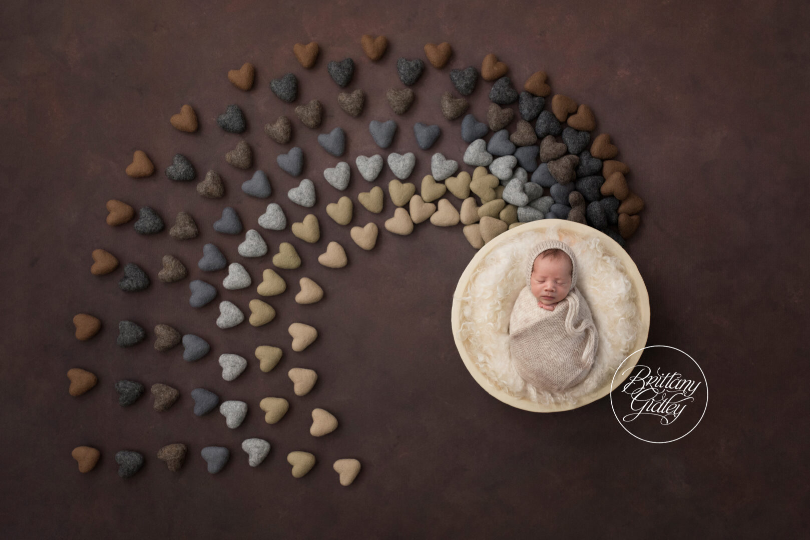 Pepper Pike Newborn Photography