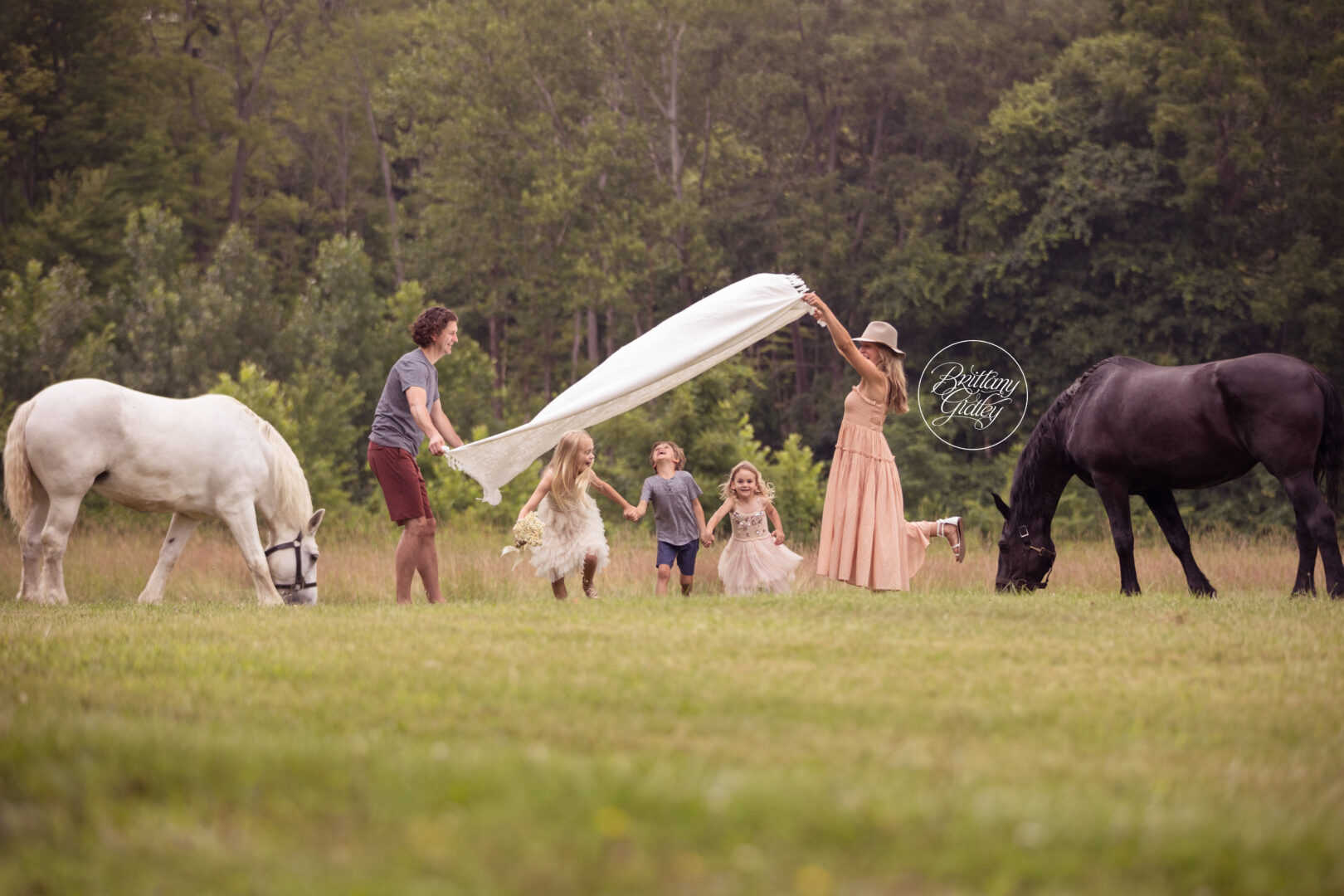 Equine Dream Photo Shoot | Westlake Family Photographer