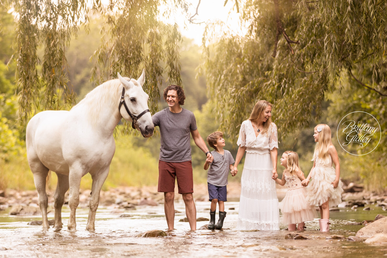 Horse Photo Shoot