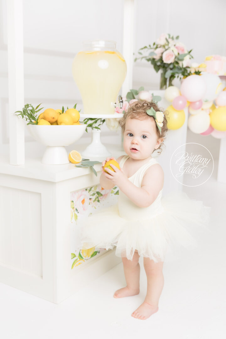 Kids Lemonade Stand Photo Shoot