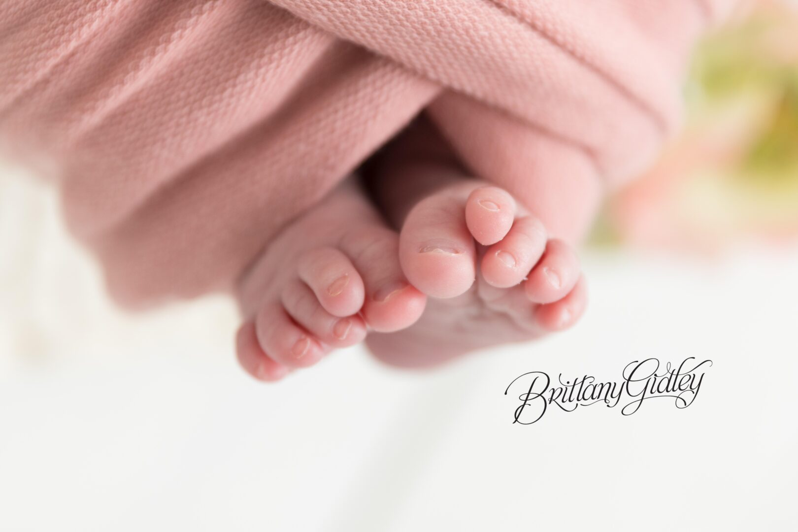 Newborn Toes