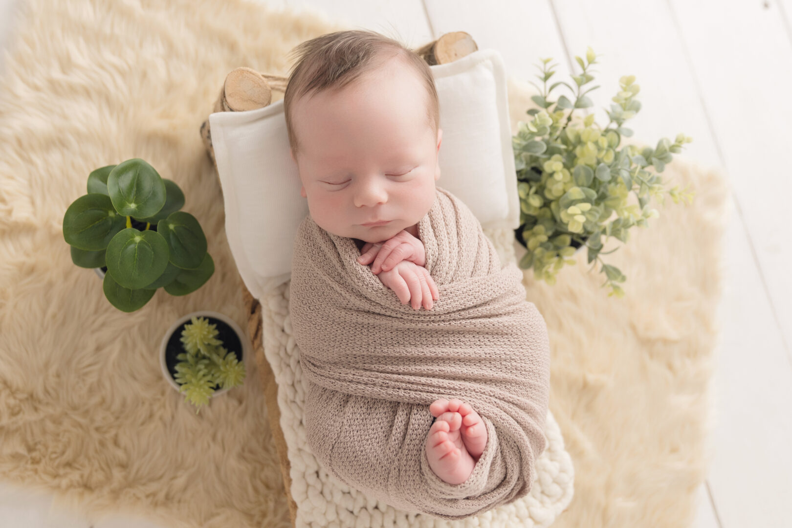 Northeast Ohio Newborn Photographer
