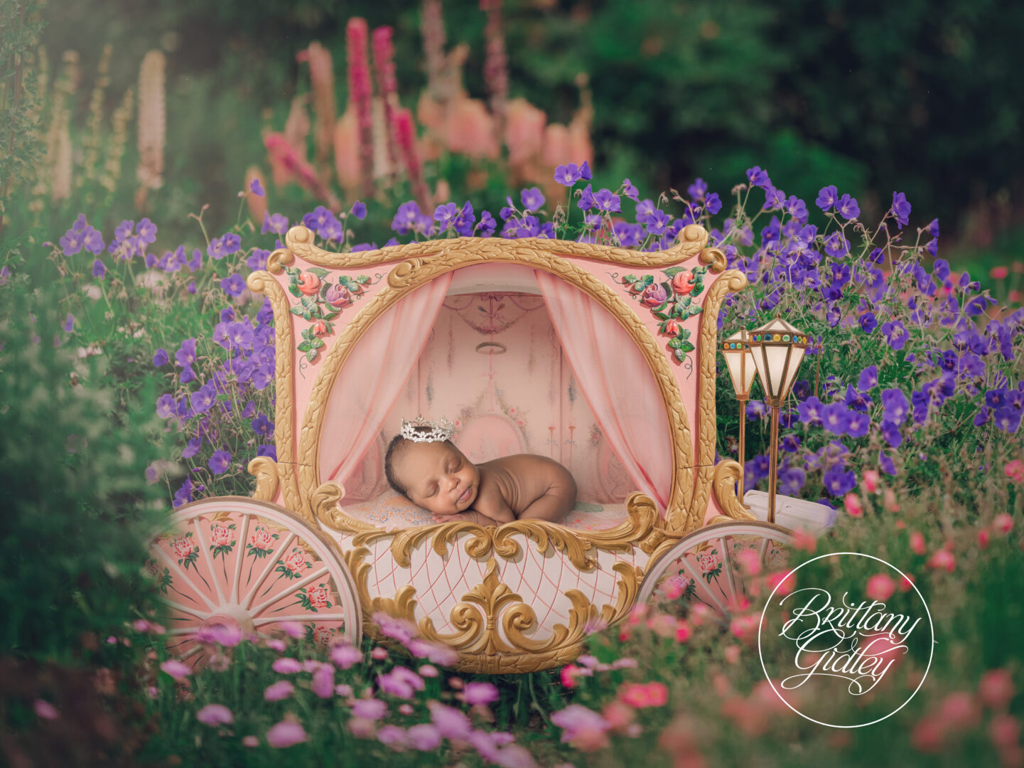 Princess Themed Newborn Images