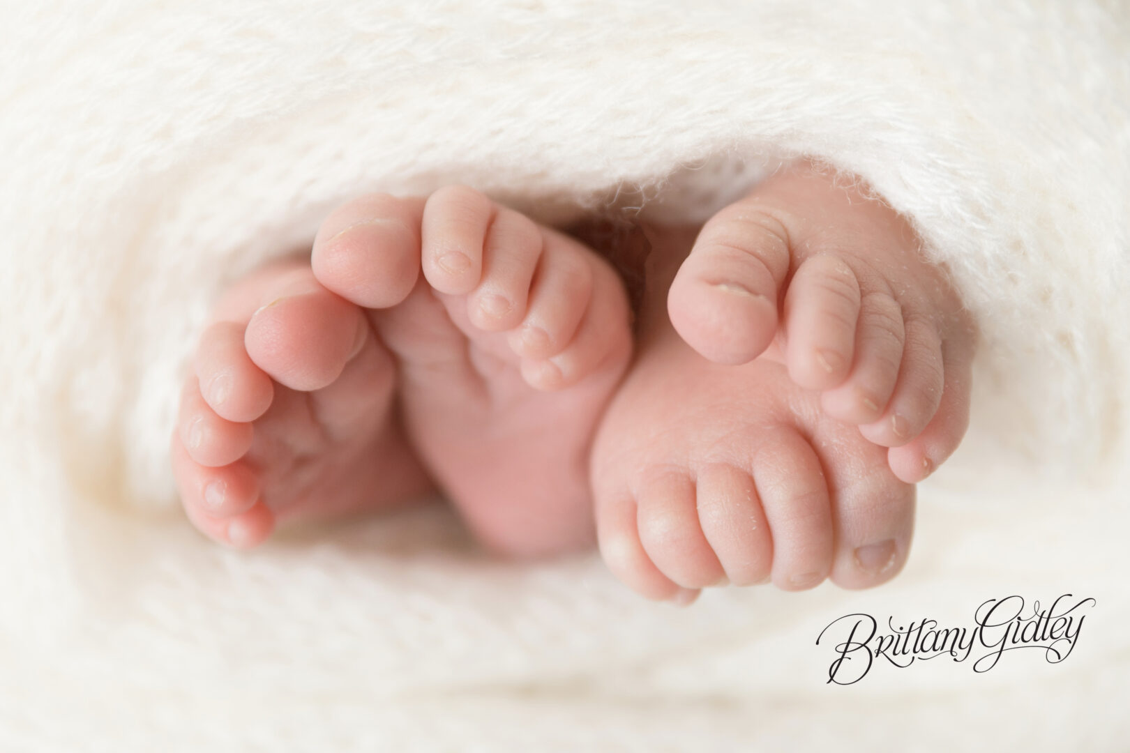 Twin Newborn Photography