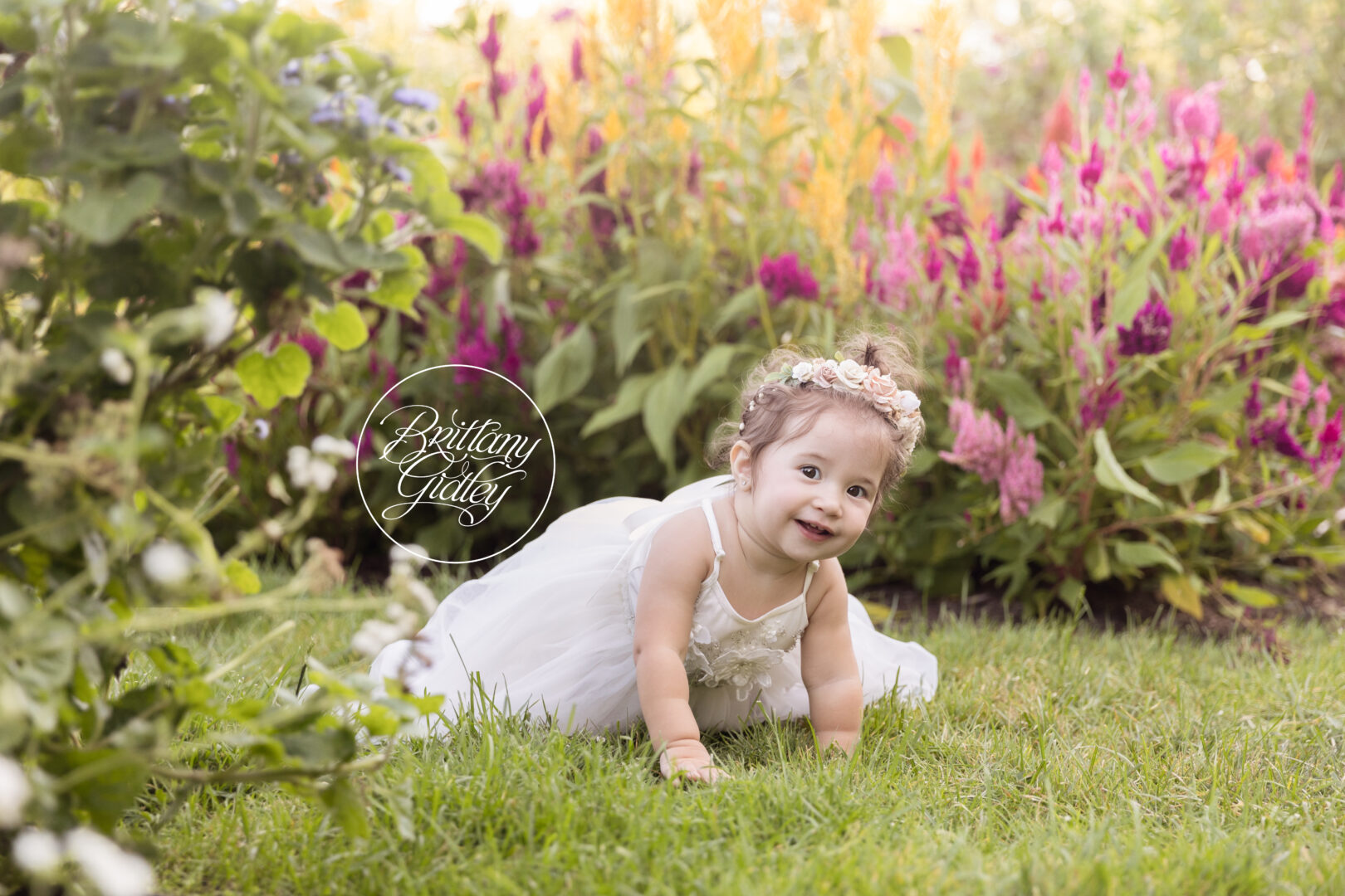 12 Month Images