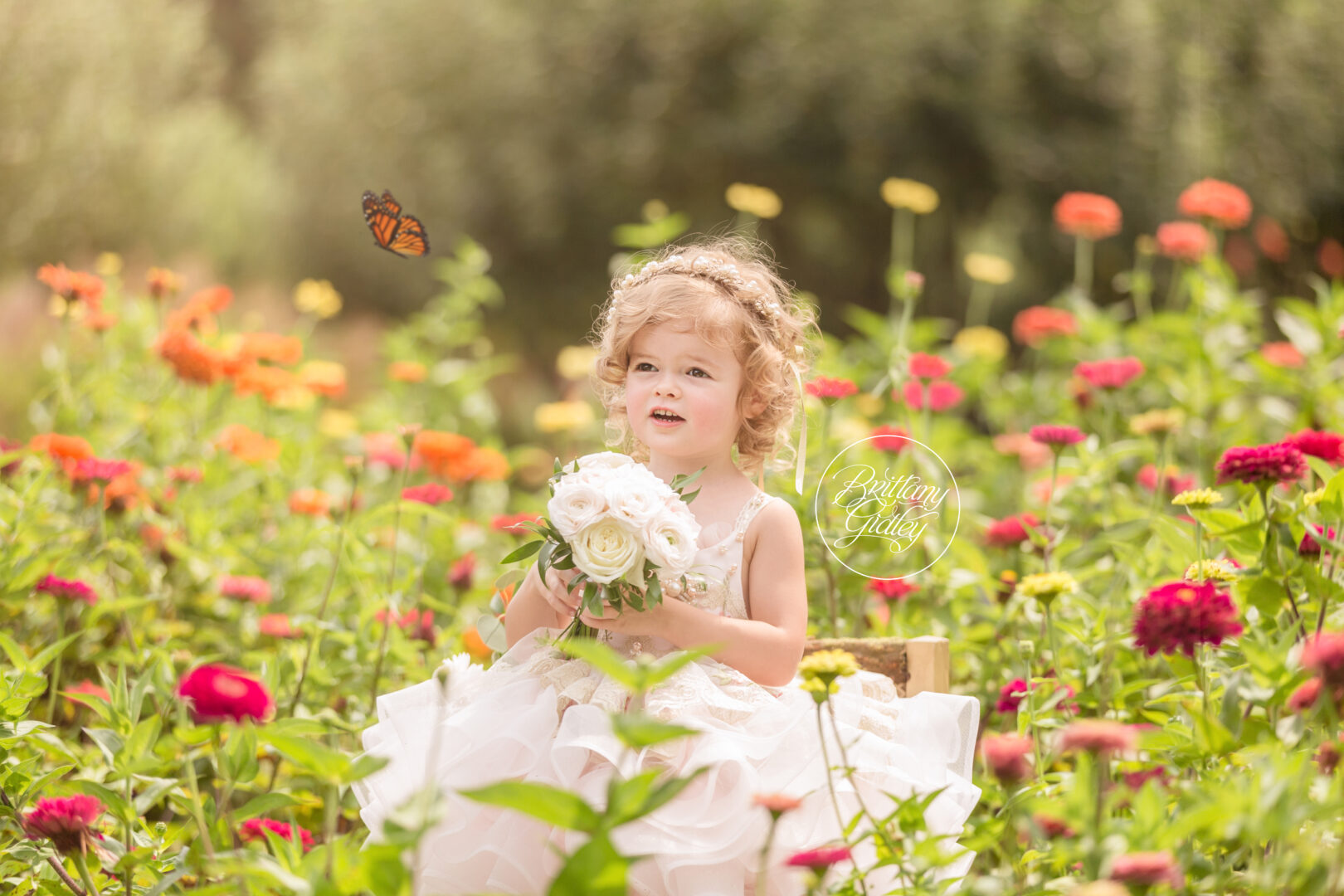 Bumblebees and Butterflies Dream Session