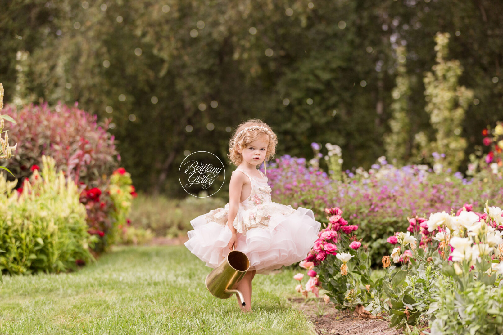 Bumblebees and Butterflies Dream Session | Stan Hywet Gardens