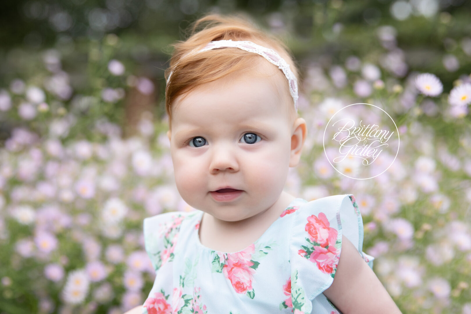Stan Hywet Photo Shoot