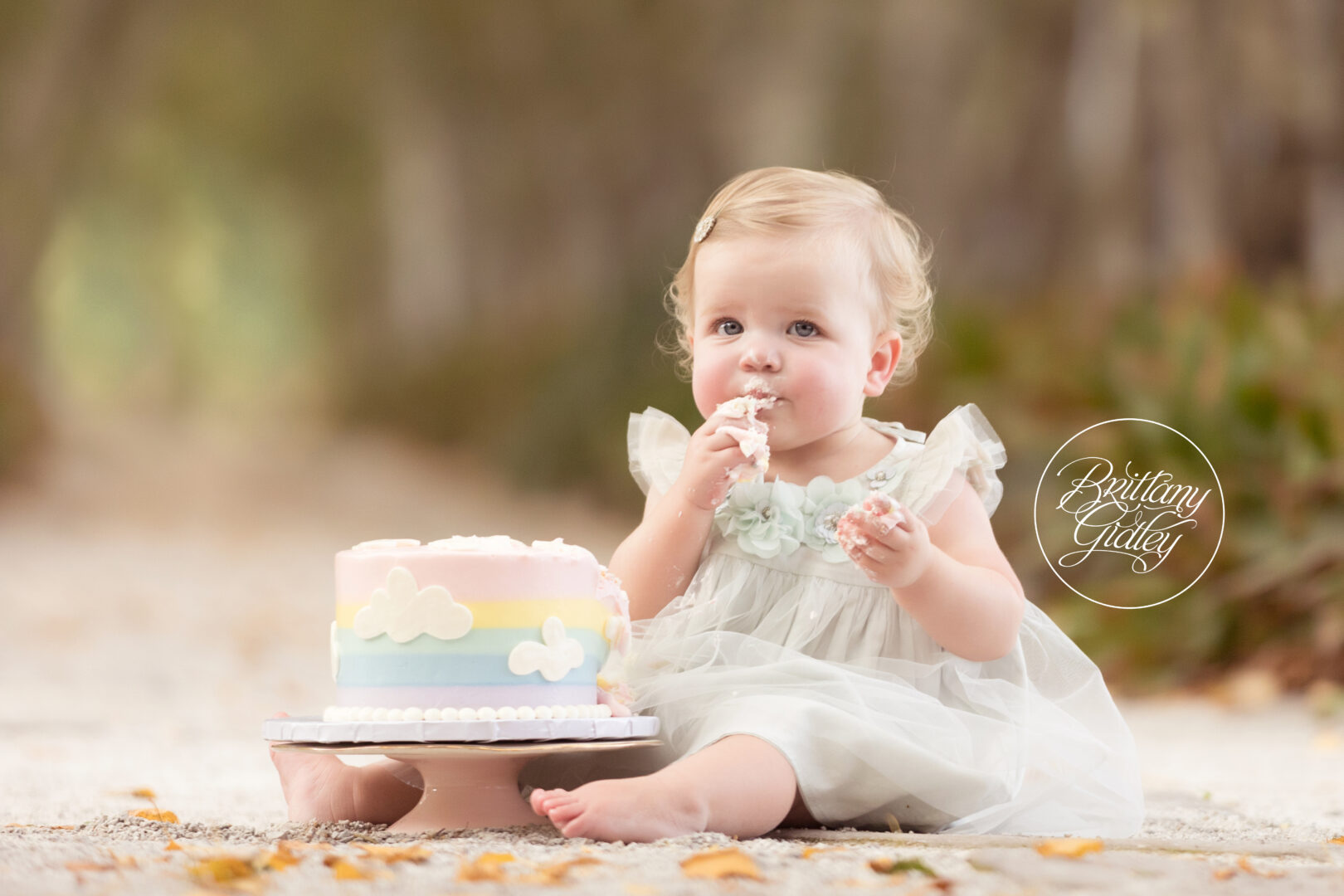 Up Up and Away Cake Smash