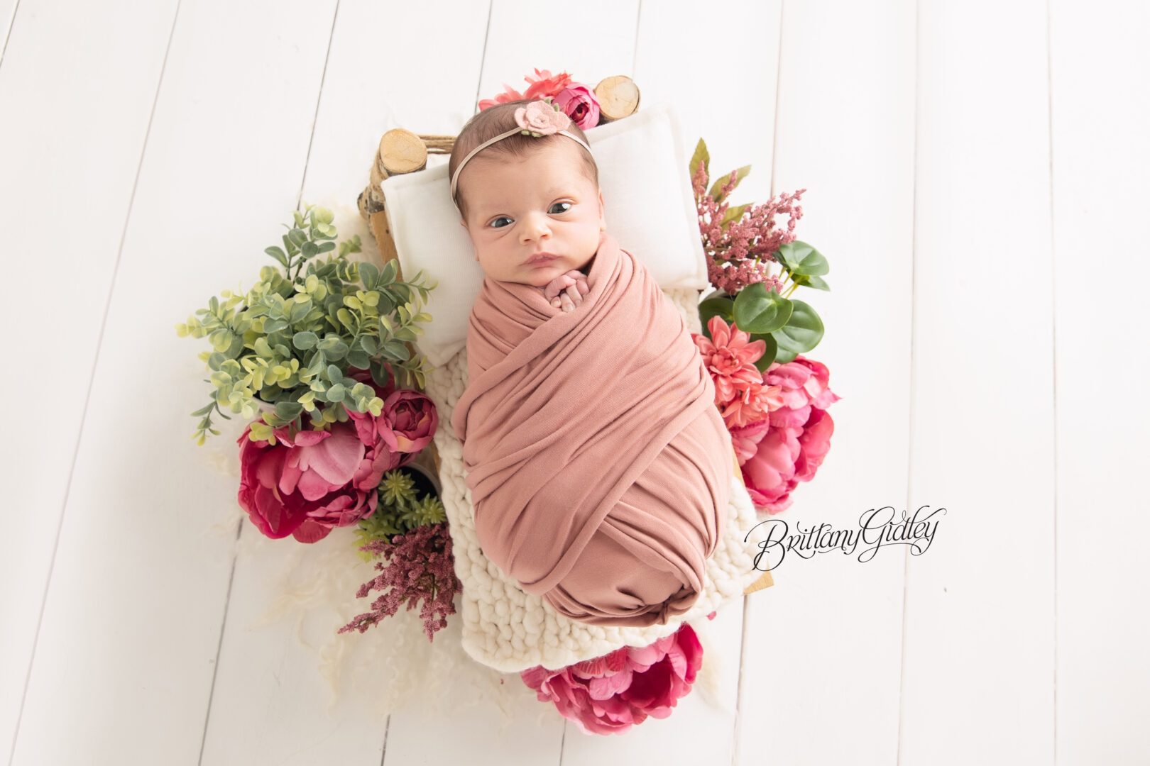 Baby and Family Photo Shoot in Cleveland