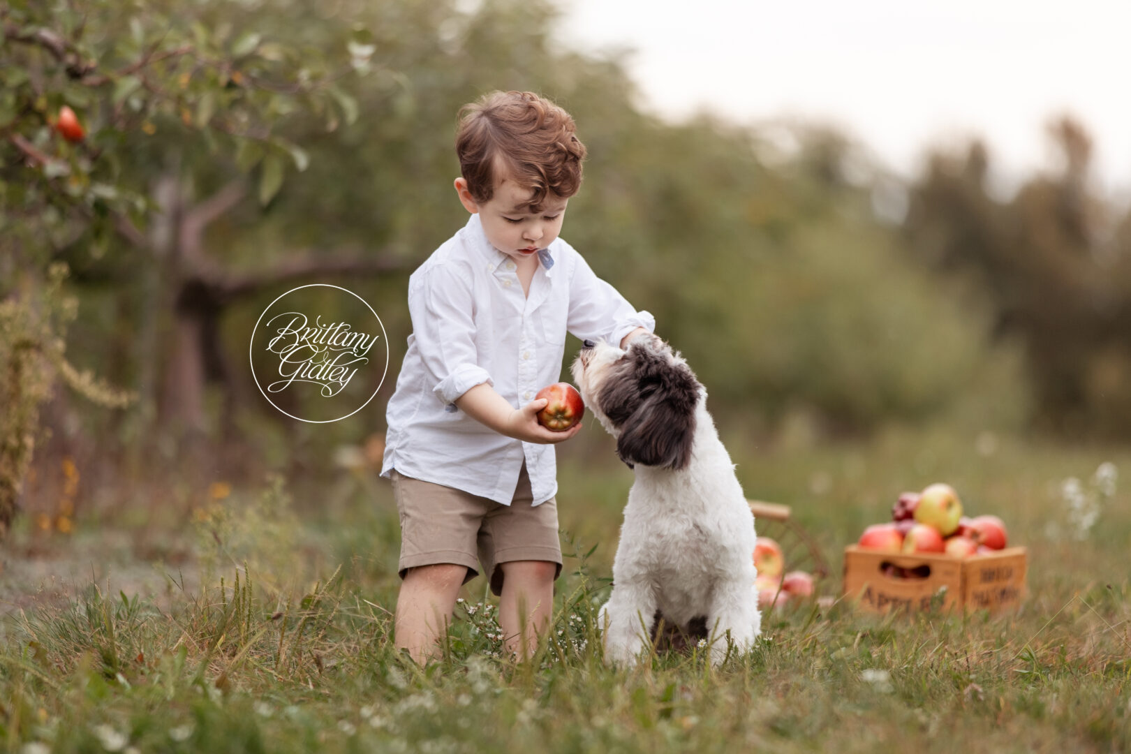 Dog With Boy and Apples | Chesterland Family Photography