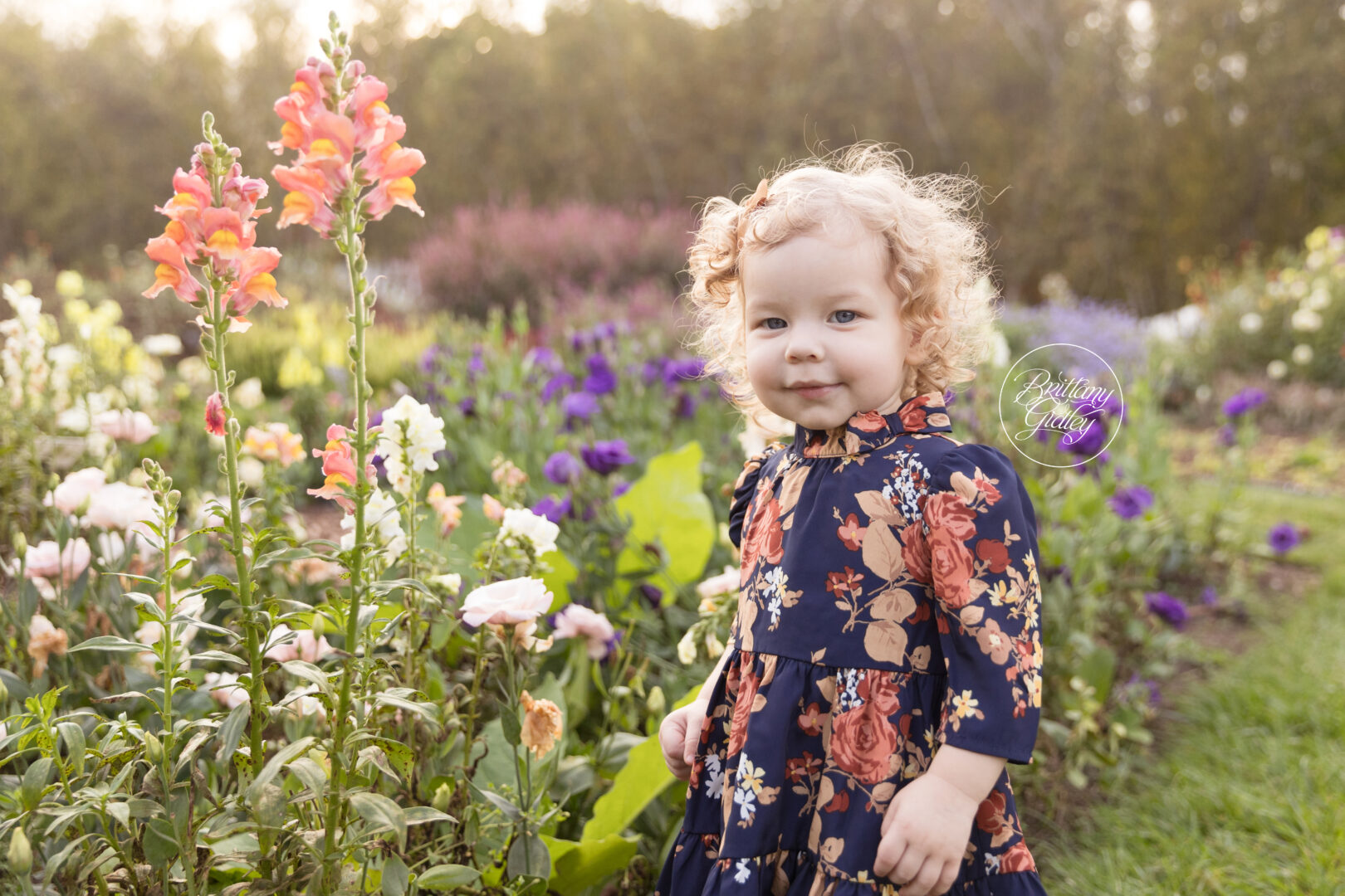 Garden Photographer Cleveland Ohio
