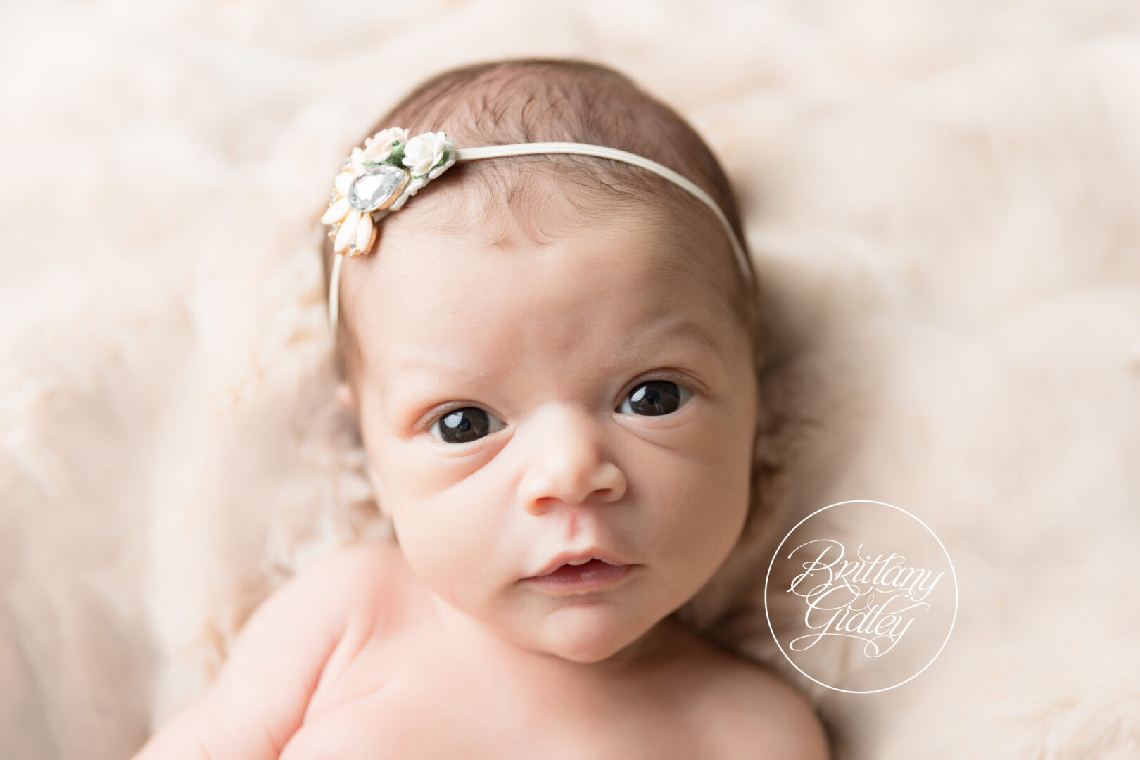Baby Portraits | Baby Photography Studio