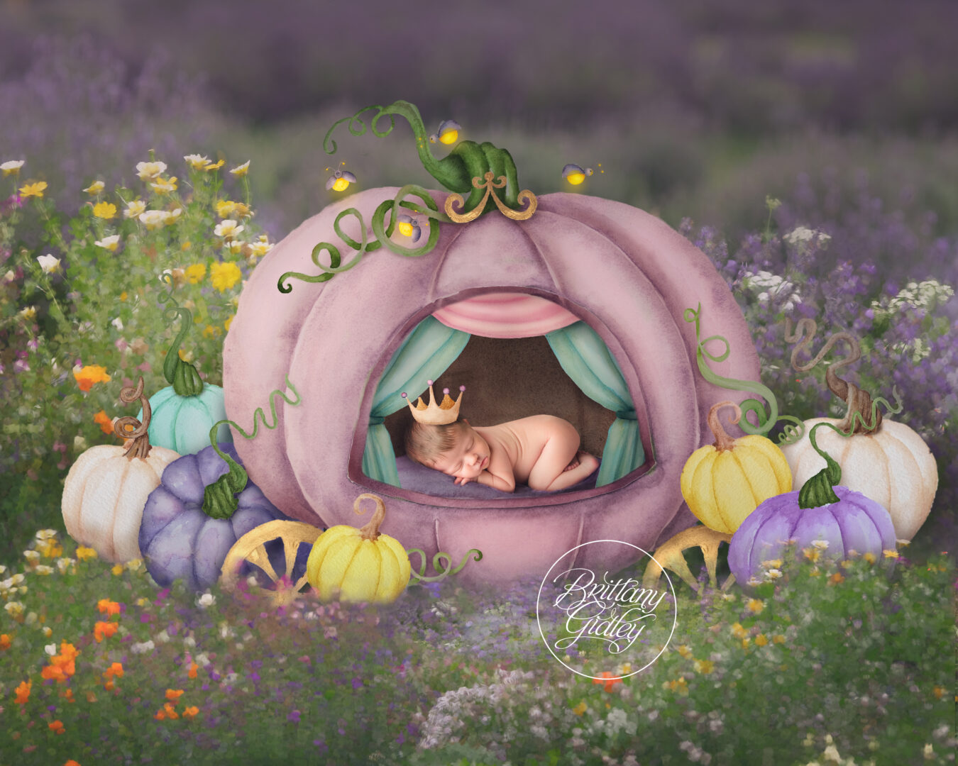 Pumpkin Newborn Images