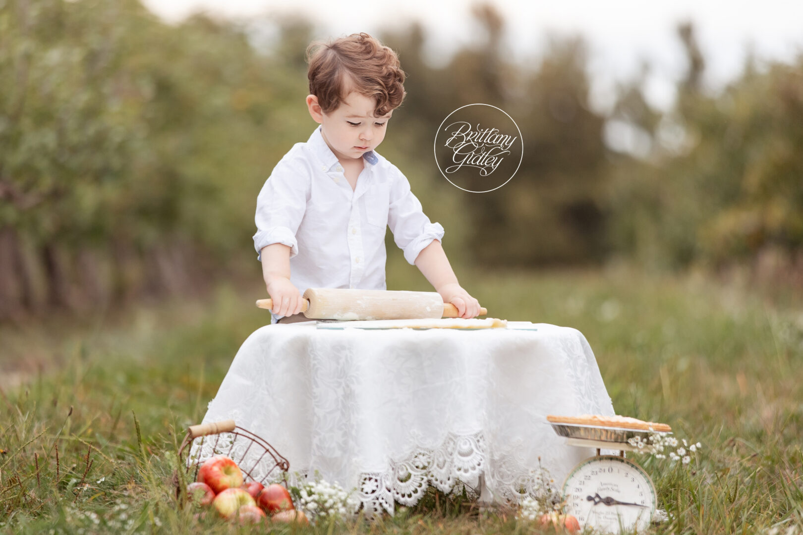 The Apple of Our Eye Apple Pie