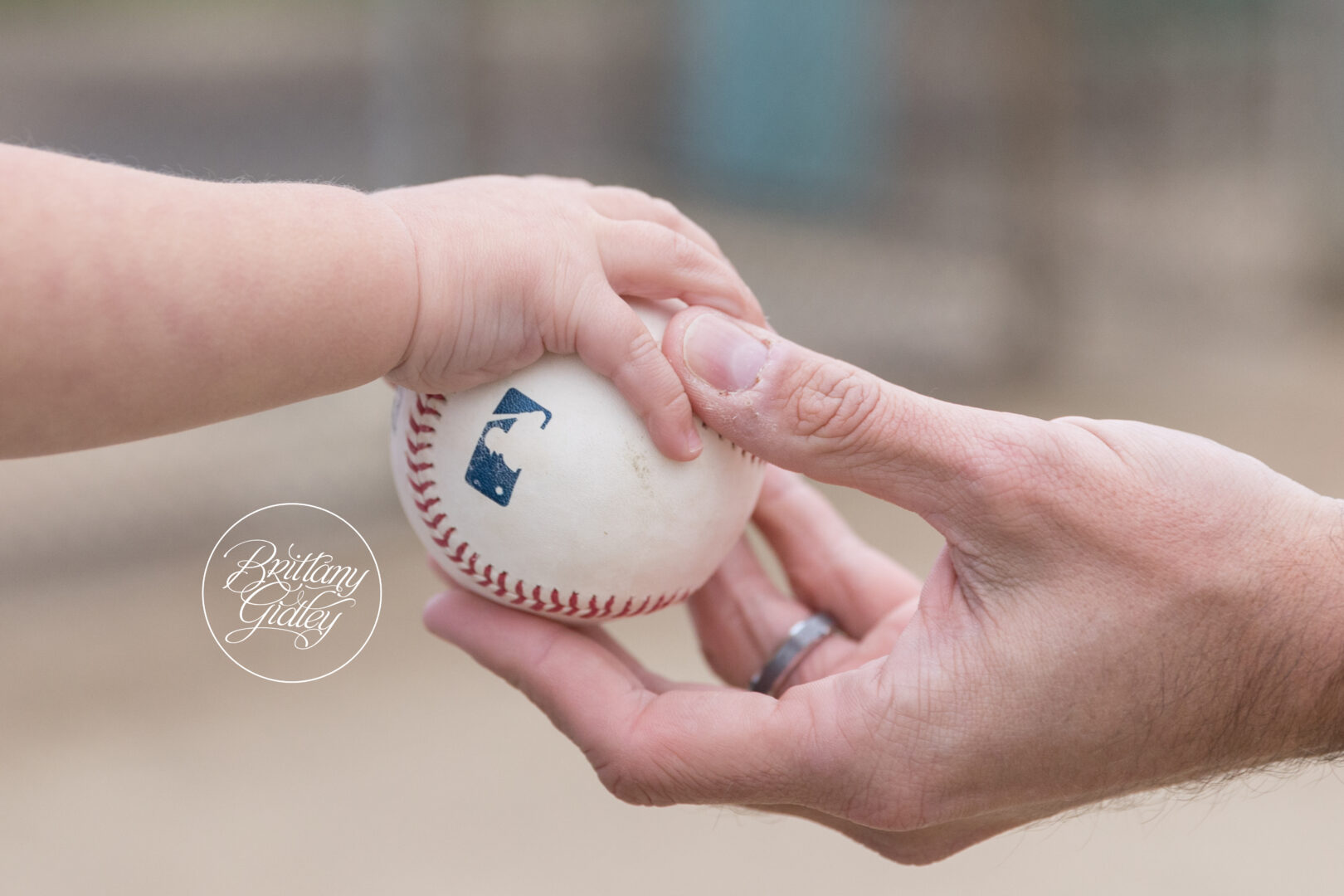 Baseball Legacy