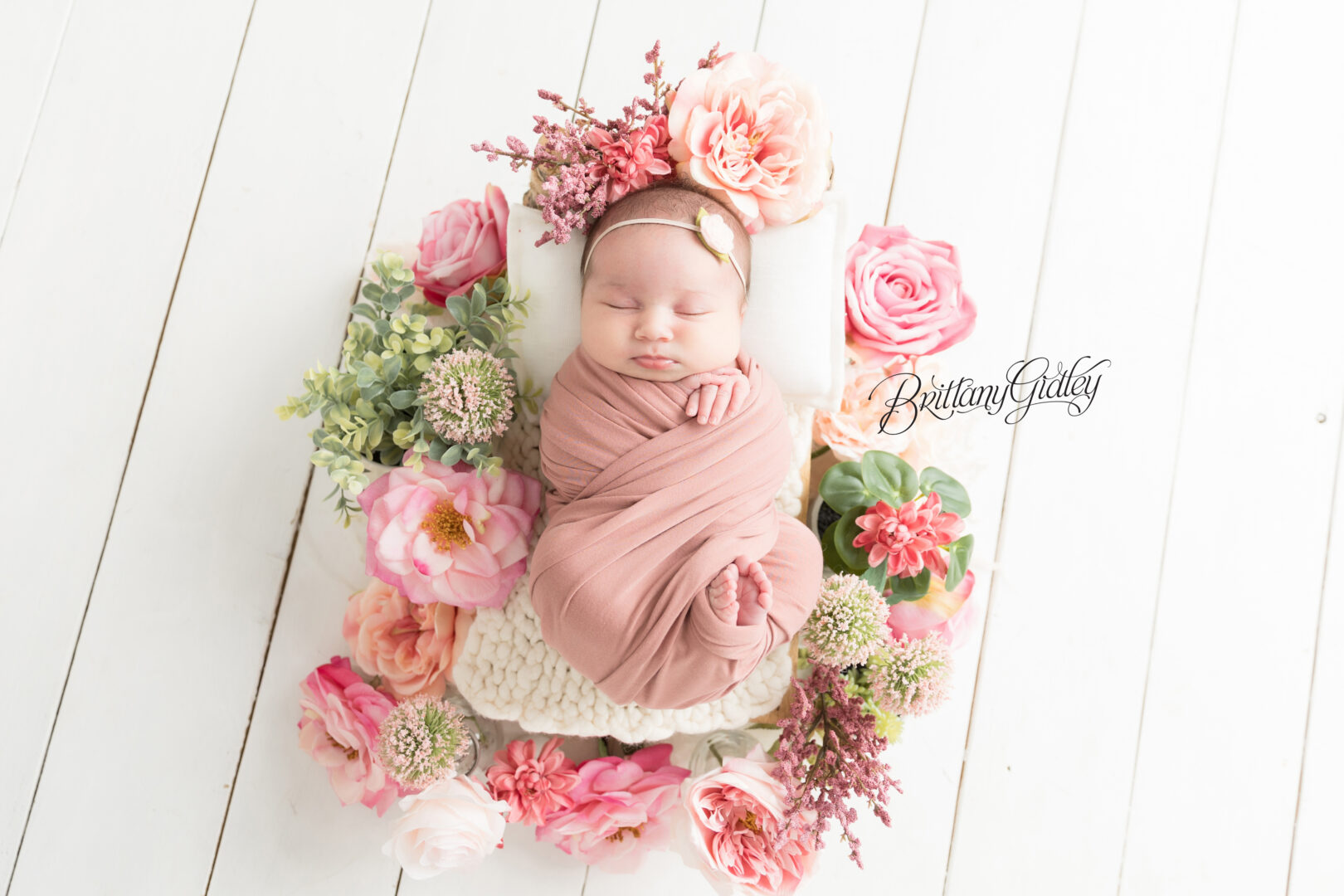 Family Photo Shoot with Newborn Girl